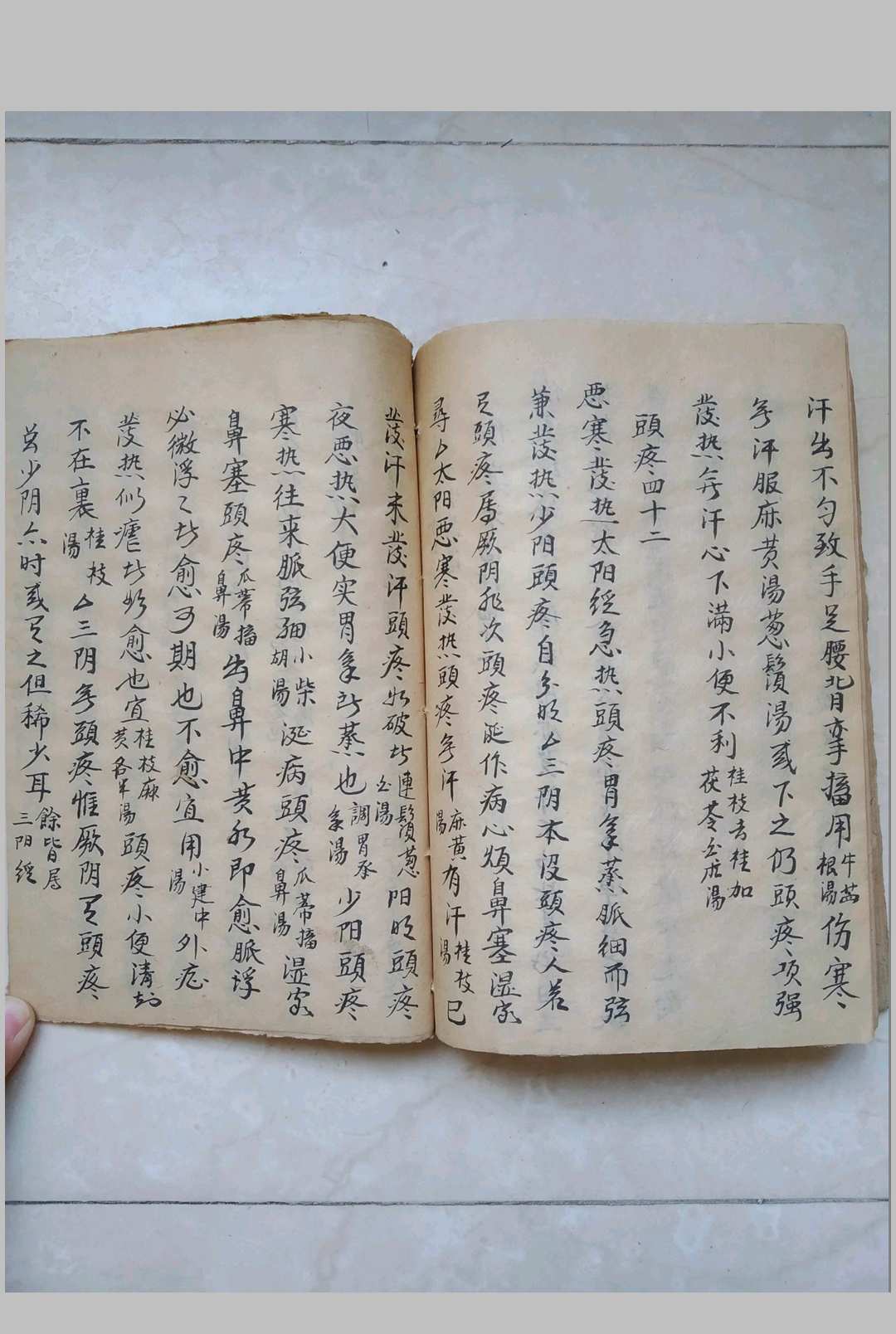 图片[14]-中华古籍网-专注古书收集伤寒指掌全书-中华古籍网-专注古书收集中华古籍网-专注古书收集