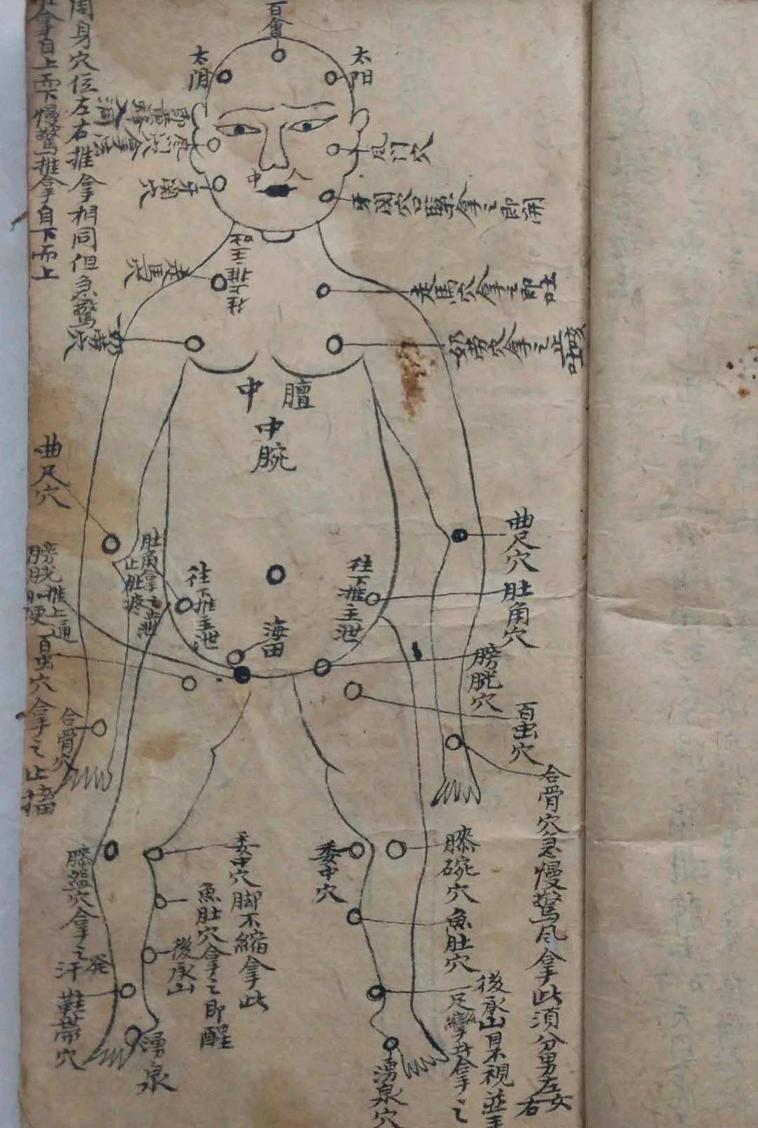 图片[11]-中华古籍网-专注古书收集道医专门治症秘方-中华古籍网-专注古书收集中华古籍网-专注古书收集