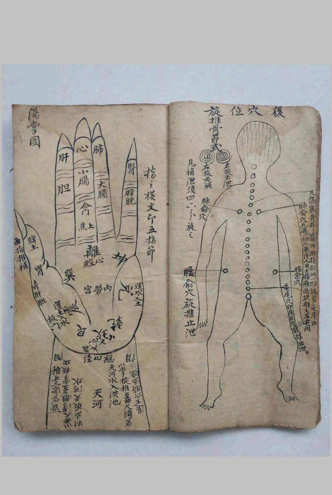 图片[8]-中华古籍网-专注古书收集道医专门治症秘方-中华古籍网-专注古书收集中华古籍网-专注古书收集