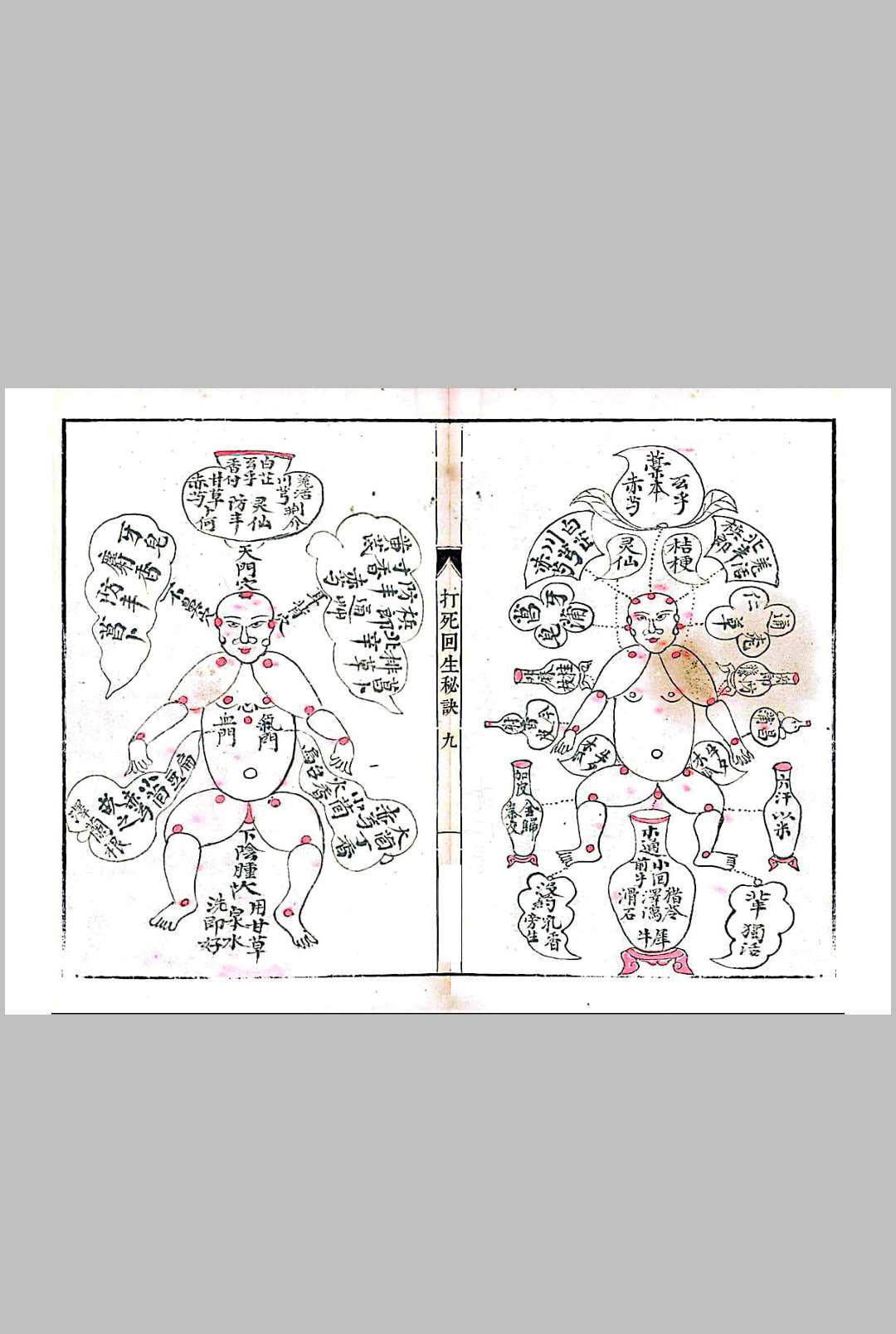 图片[5]-中华古籍网-专注古书收集打死回生秘诀-中华古籍网-专注古书收集中华古籍网-专注古书收集