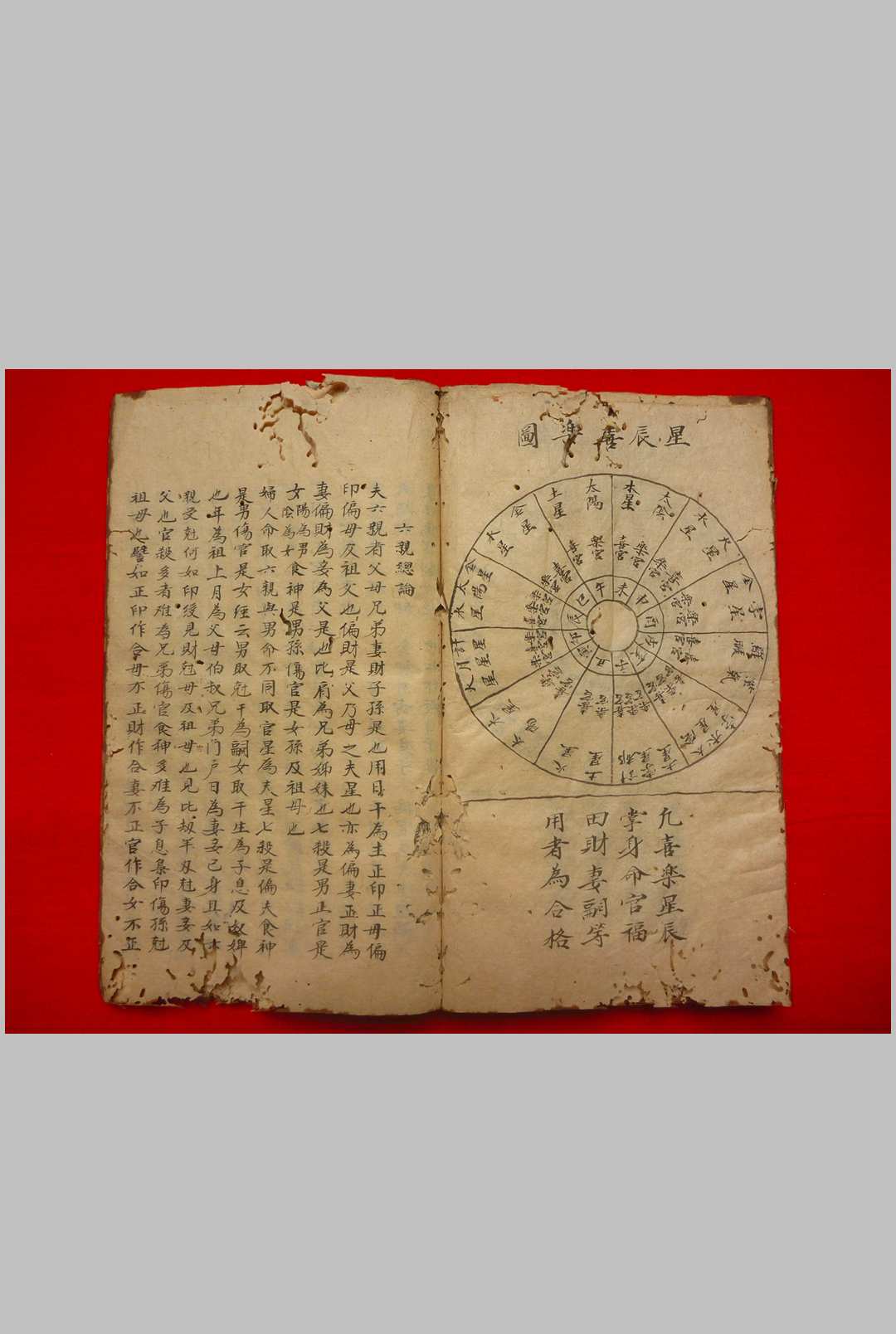 图片[11]-中华古籍网-专注古书收集张果星宗命理-中华古籍网-专注古书收集中华古籍网-专注古书收集