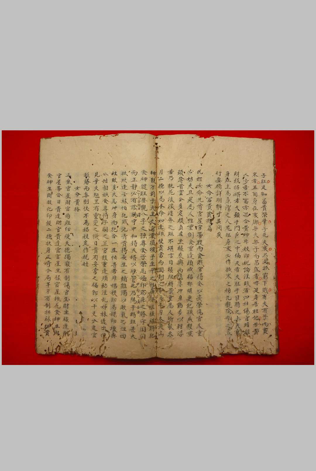 图片[8]-中华古籍网-专注古书收集张果星宗命理-中华古籍网-专注古书收集中华古籍网-专注古书收集