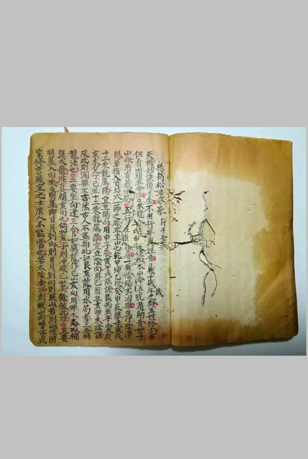 图片[21]-中华古籍网-专注古书收集选择摘要（选择诹吉撮要资览七政造命法）-中华古籍网-专注古书收集中华古籍网-专注古书收集