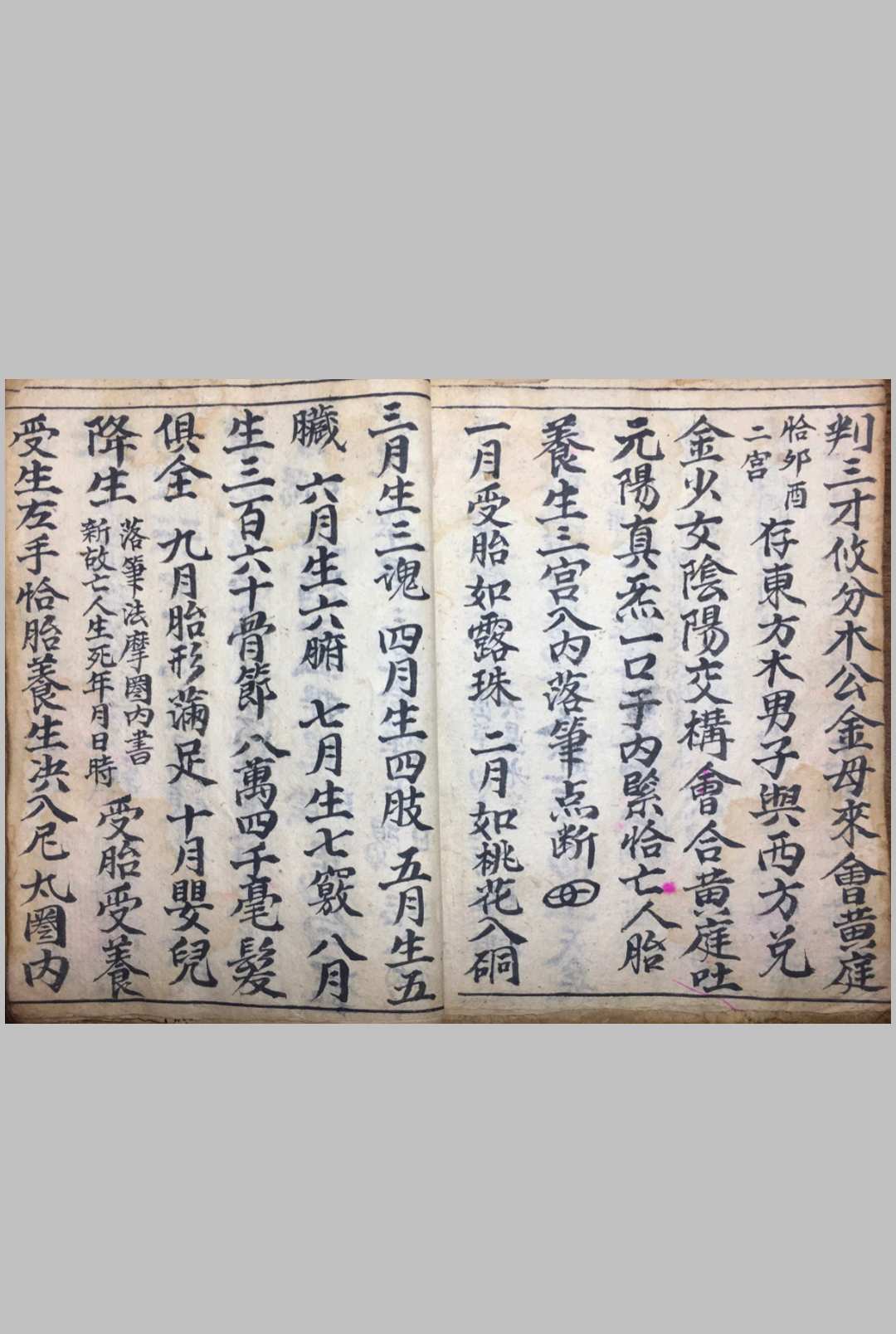 图片[4]-中华古籍网-专注古书收集生天宝箓 开光秘旨-中华古籍网-专注古书收集中华古籍网-专注古书收集