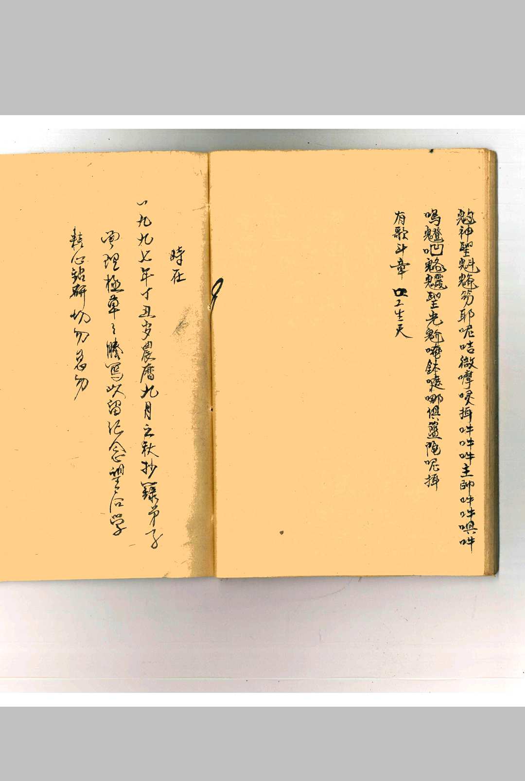 图片[12]-中华古籍网-专注古书收集掌抉-中华古籍网-专注古书收集中华古籍网-专注古书收集