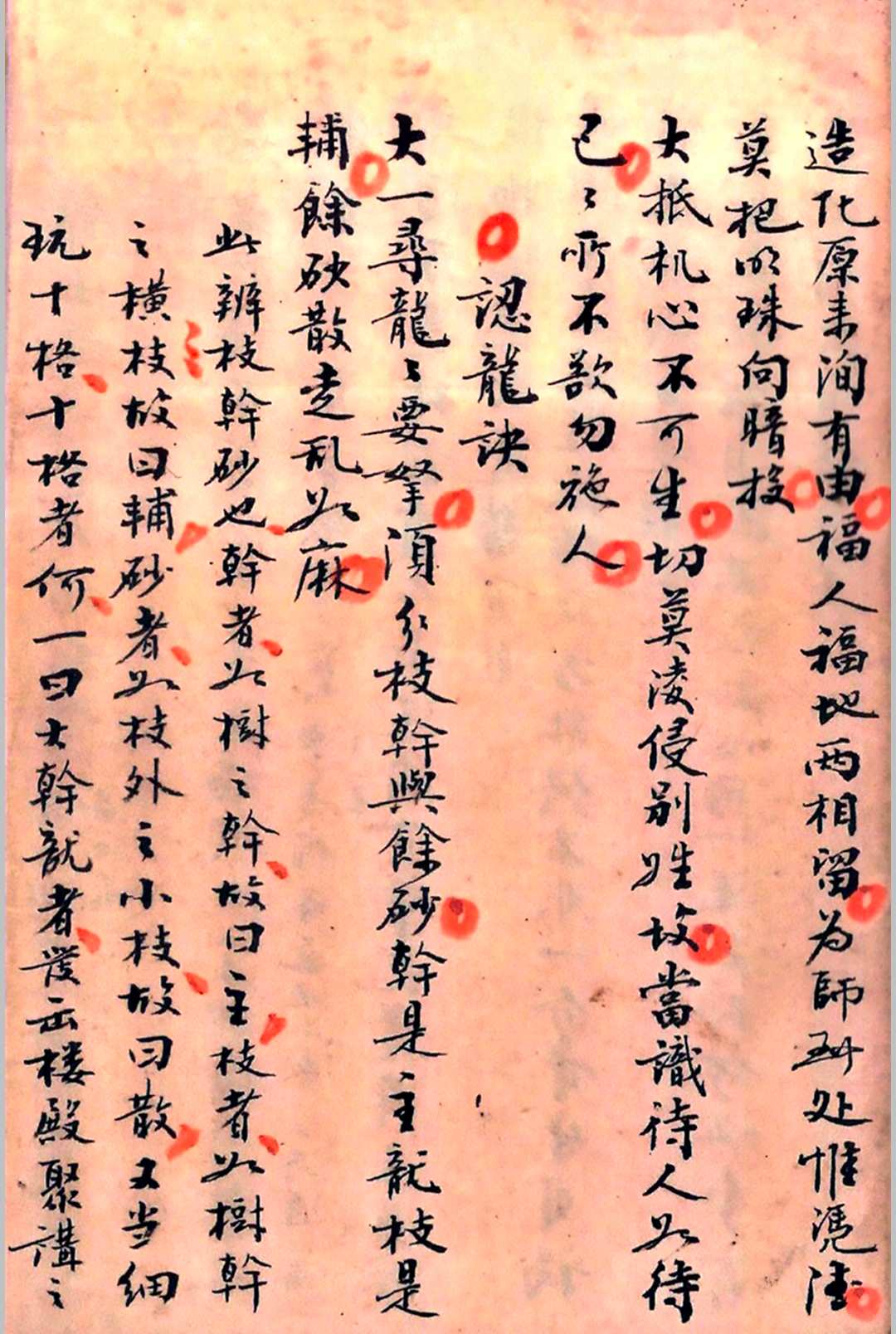 图片[4]-中华古籍网-专注古书收集埊理撮要-中华古籍网-专注古书收集中华古籍网-专注古书收集