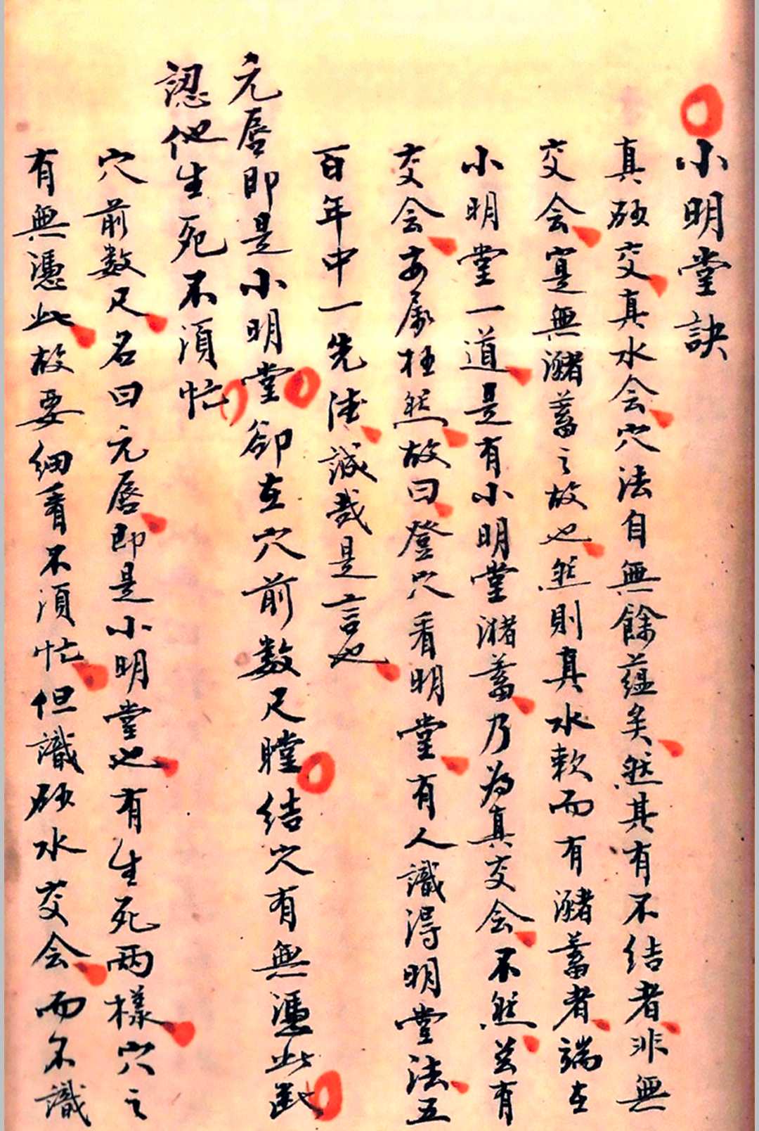 图片[17]-中华古籍网-专注古书收集埊理撮要-中华古籍网-专注古书收集中华古籍网-专注古书收集