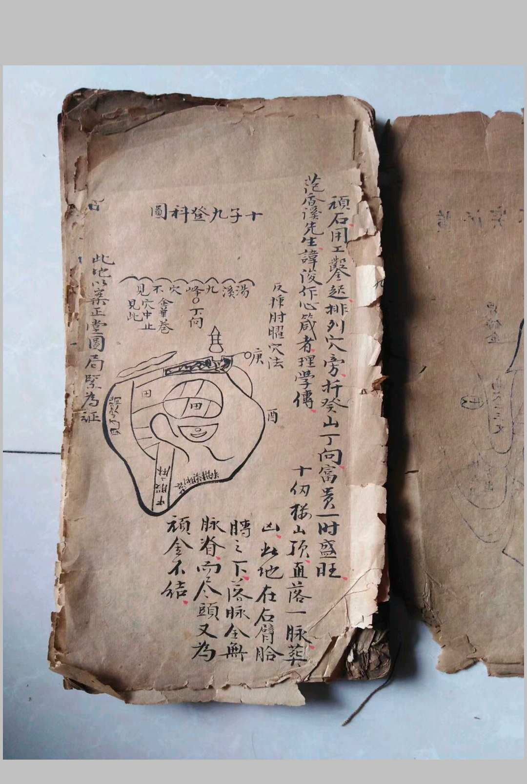 图片[10]-中华古籍网-专注古书收集江西真传焦仁山西山草庐真旨八条歌真诀-中华古籍网-专注古书收集中华古籍网-专注古书收集