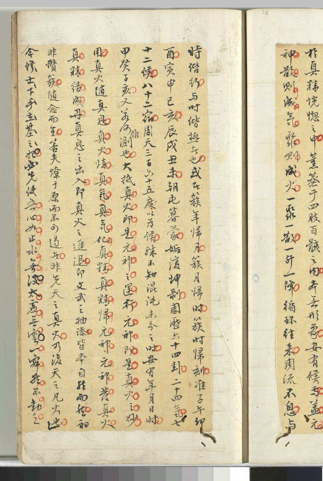 图片[7]-中华古籍网-专注古书收集元机口诀（明傅山手抄，顾亭林硃点书）-中华古籍网-专注古书收集中华古籍网-专注古书收集