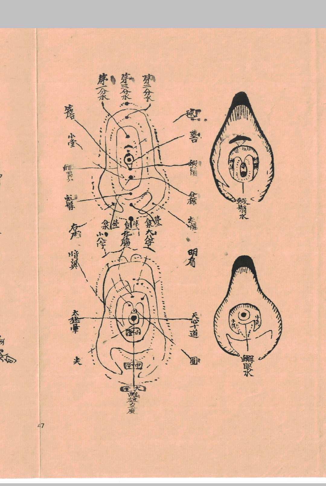 图片[16]-中华古籍网-专注古书收集地学统照-中华古籍网-专注古书收集中华古籍网-专注古书收集