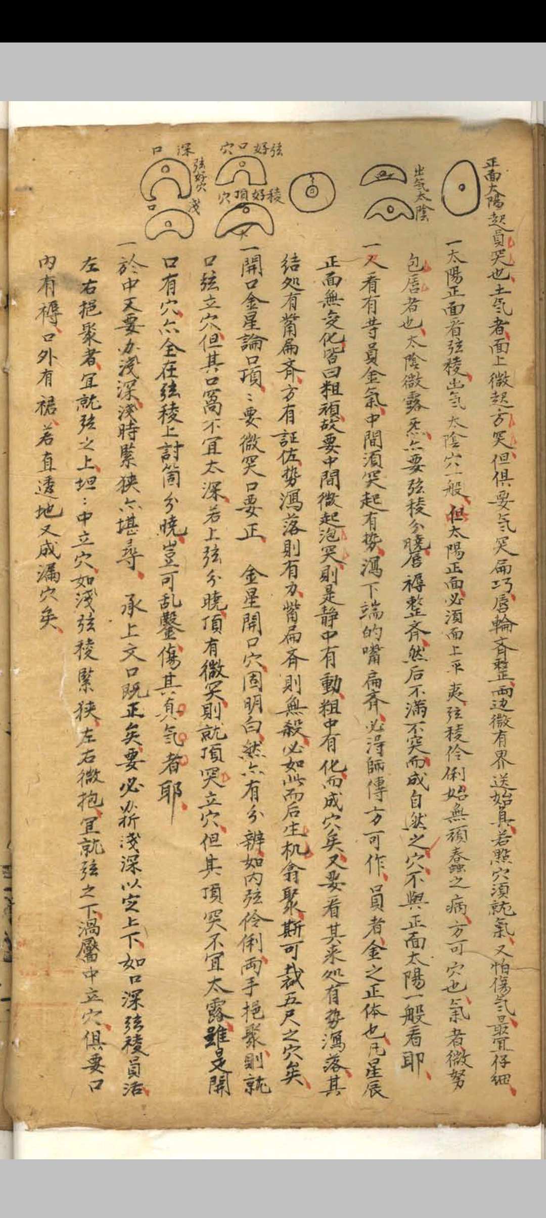 图片[21]-中华古籍网-专注古书收集相山骨髓-中华古籍网-专注古书收集中华古籍网-专注古书收集