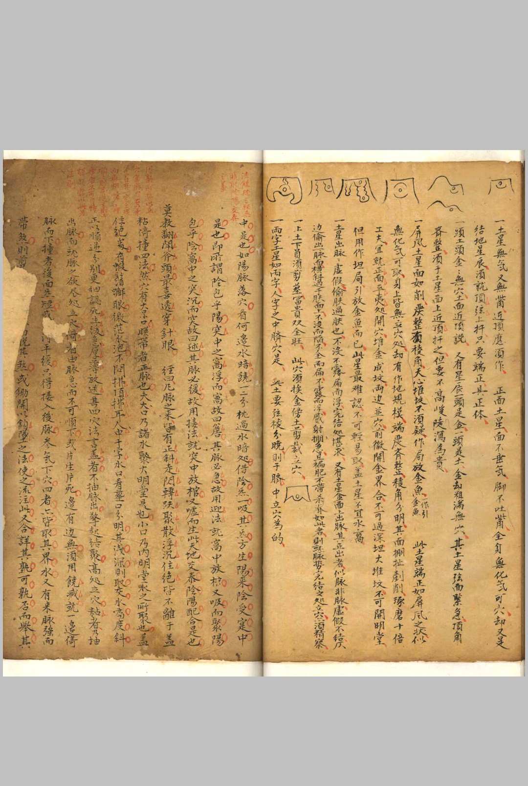 图片[4]-中华古籍网-专注古书收集相山骨髓-中华古籍网-专注古书收集中华古籍网-专注古书收集