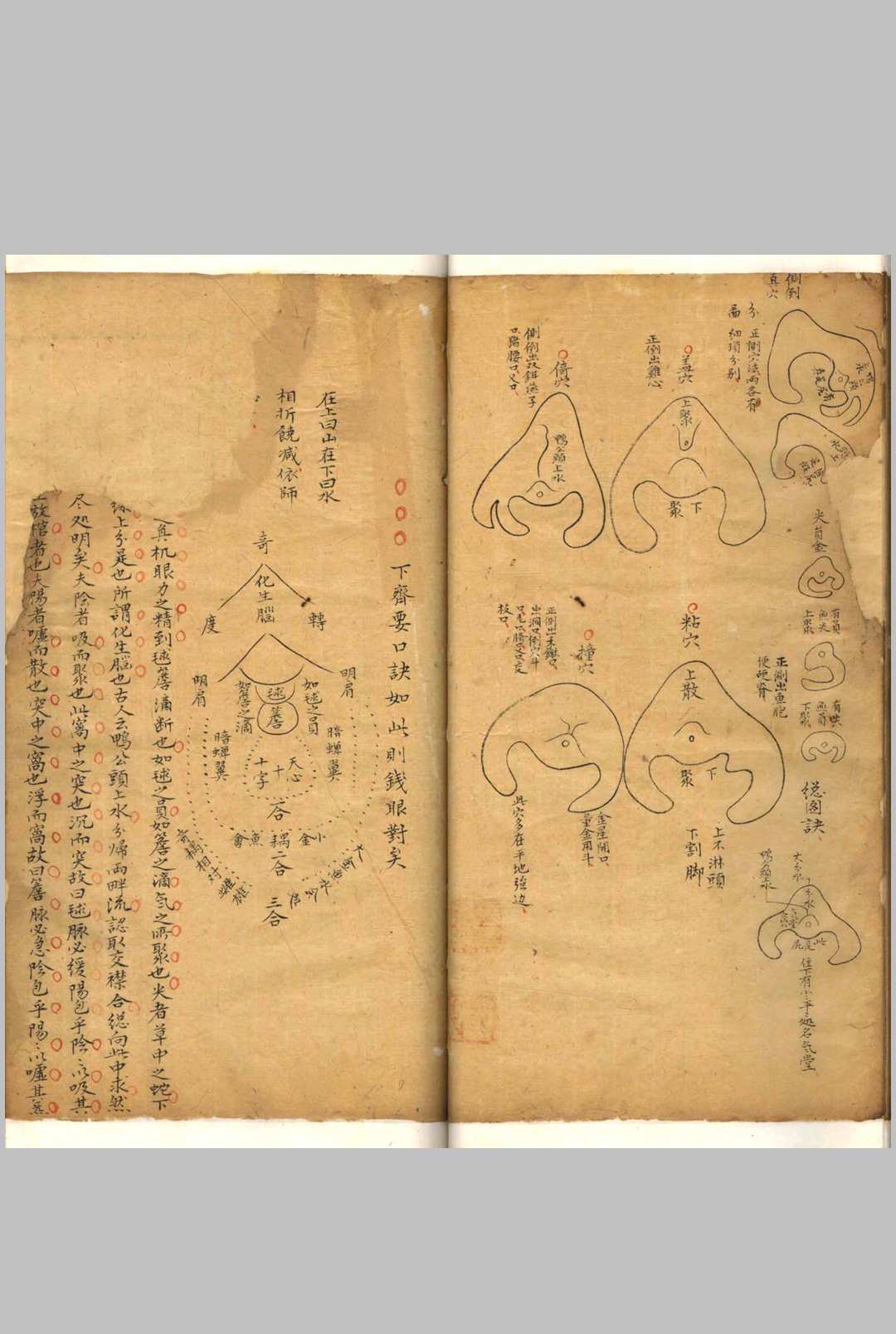 图片[6]-中华古籍网-专注古书收集相山骨髓-中华古籍网-专注古书收集中华古籍网-专注古书收集