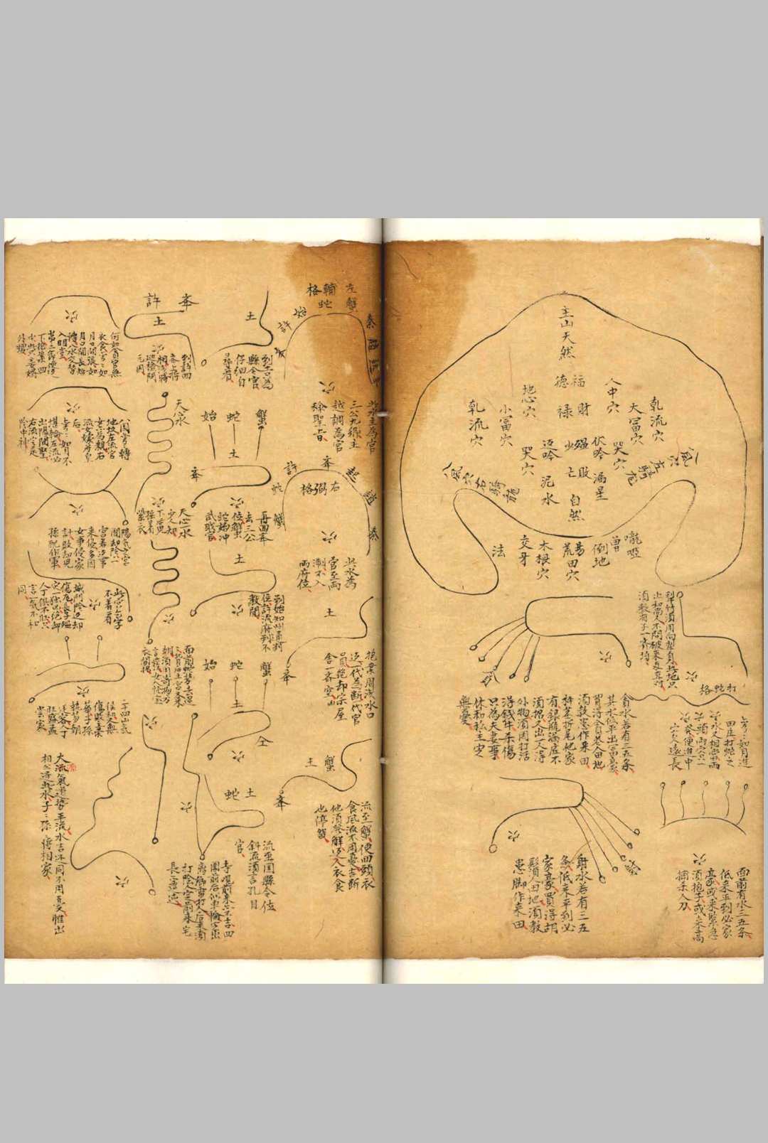 图片[12]-中华古籍网-专注古书收集相山骨髓-中华古籍网-专注古书收集中华古籍网-专注古书收集