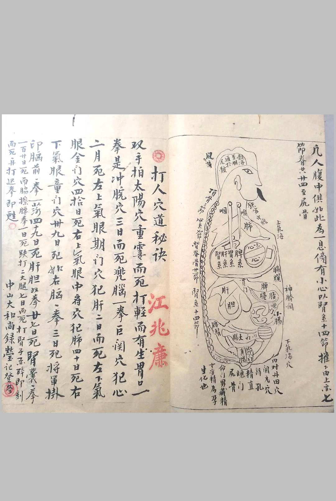 图片[10]-中华古籍网-专注古书收集遗传外科-中华古籍网-专注古书收集中华古籍网-专注古书收集