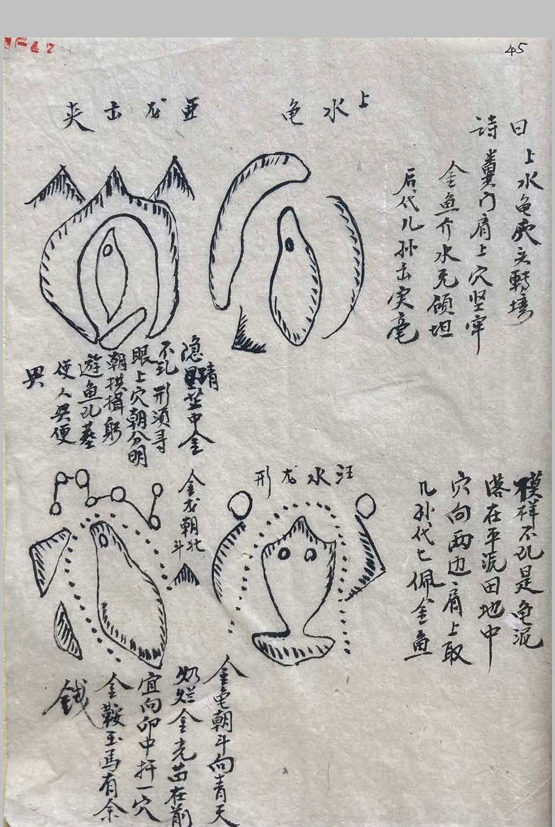 图片[10]-中华古籍网-专注古书收集天机会元图-中华古籍网-专注古书收集中华古籍网-专注古书收集
