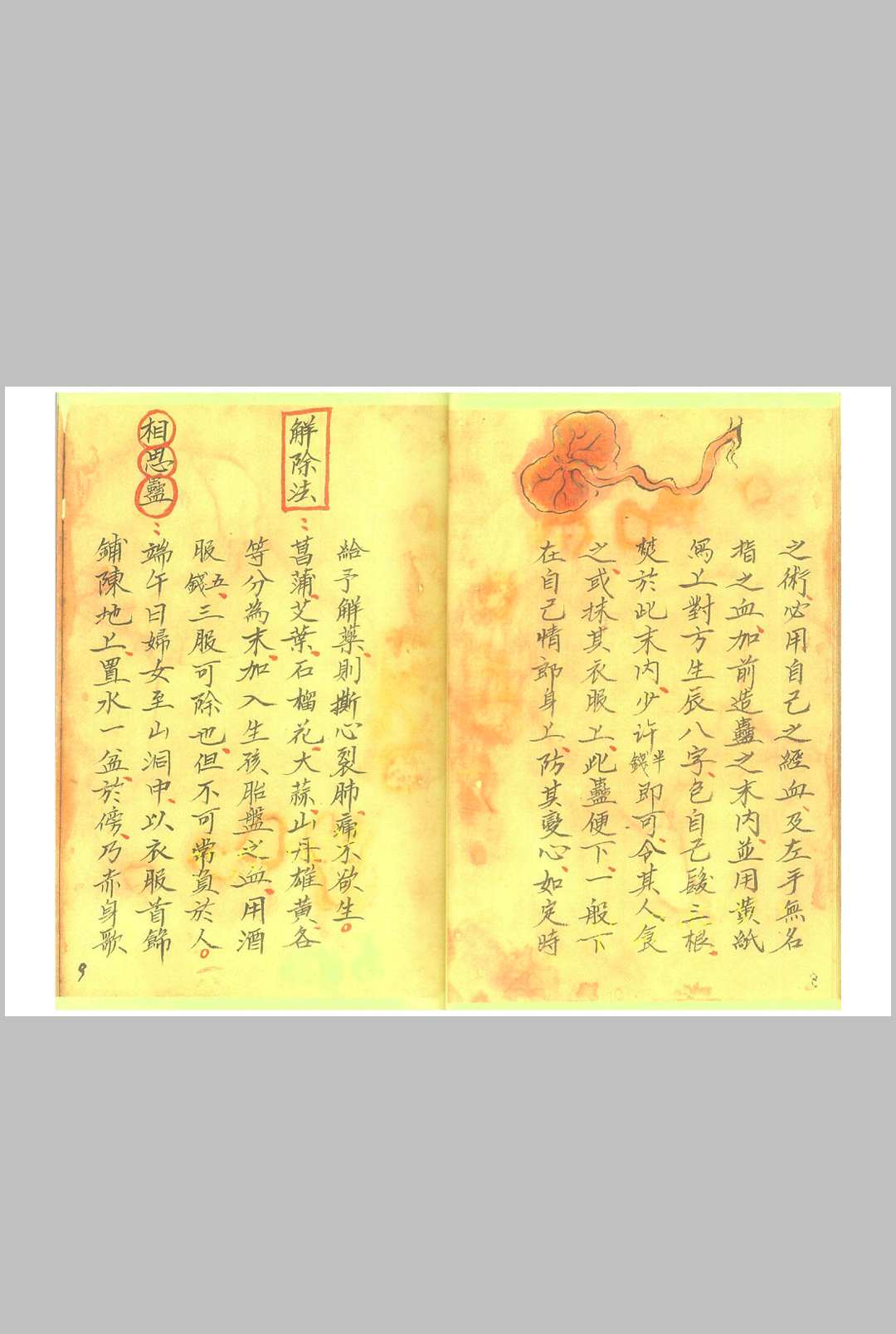 图片[9]-中华古籍网-专注古书收集《湘西蛊术秘本 》-中华古籍网-专注古书收集中华古籍网-专注古书收集