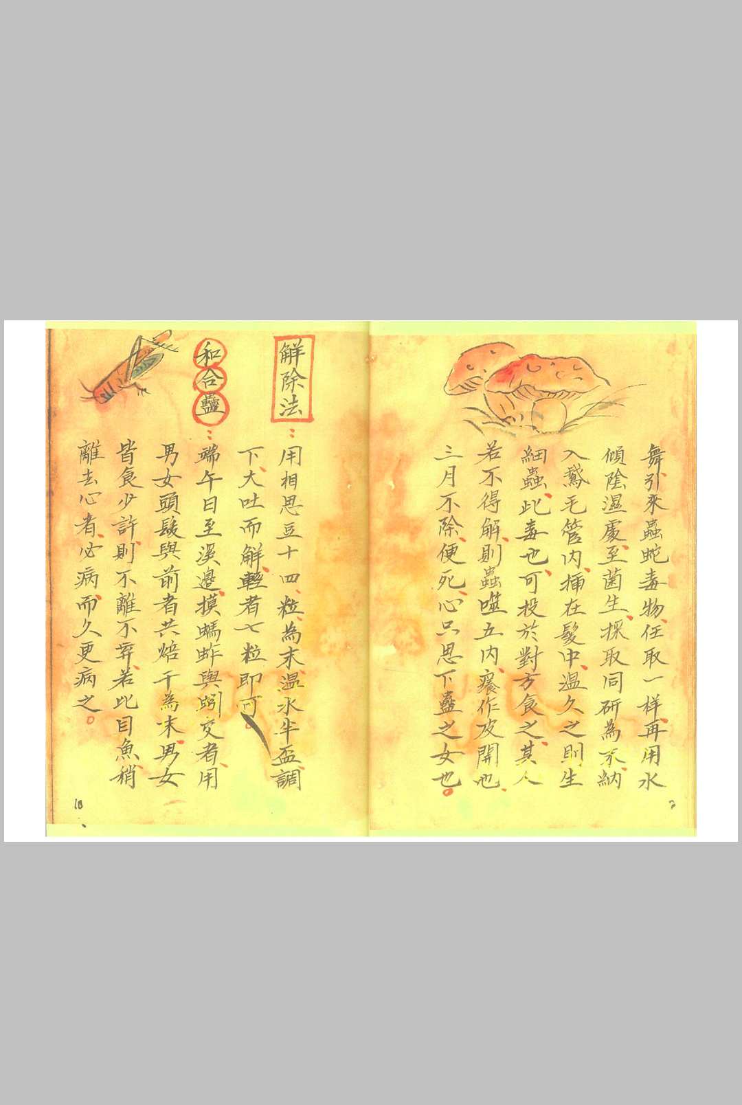 图片[10]-中华古籍网-专注古书收集《湘西蛊术秘本 》-中华古籍网-专注古书收集中华古籍网-专注古书收集