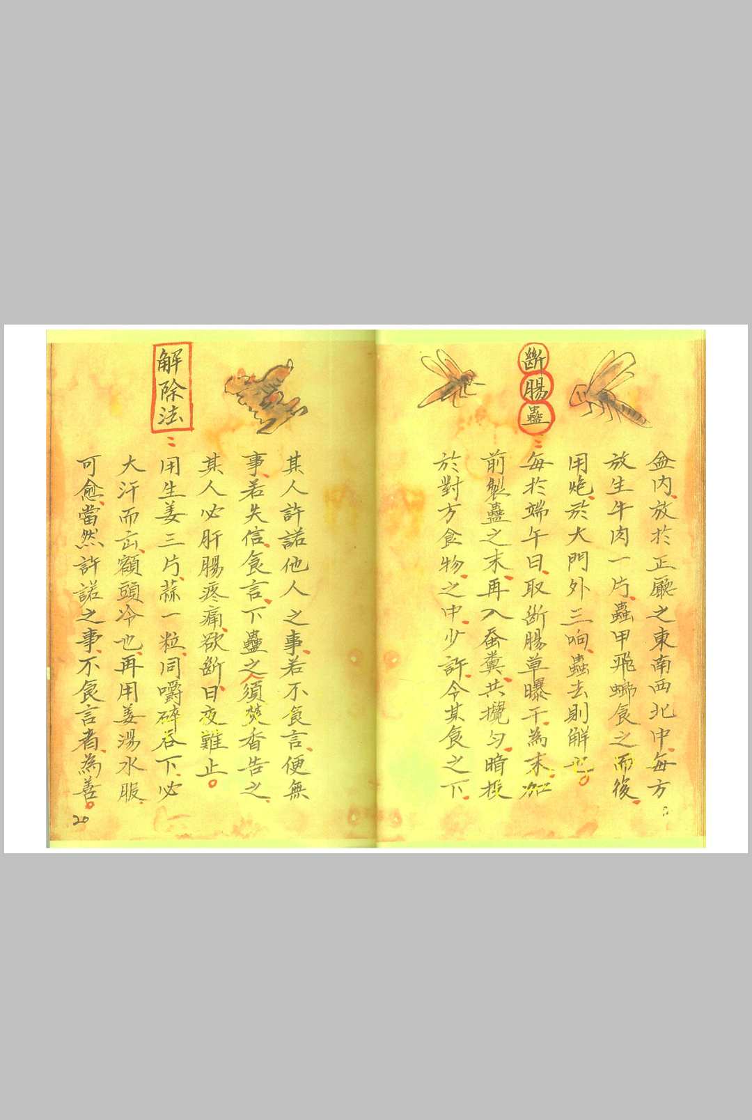 图片[12]-中华古籍网-专注古书收集《湘西蛊术秘本 》-中华古籍网-专注古书收集中华古籍网-专注古书收集
