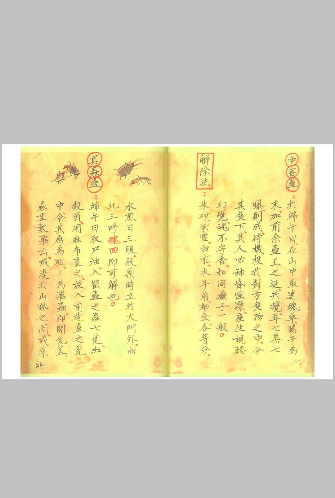 图片[16]-中华古籍网-专注古书收集《湘西蛊术秘本 》-中华古籍网-专注古书收集中华古籍网-专注古书收集
