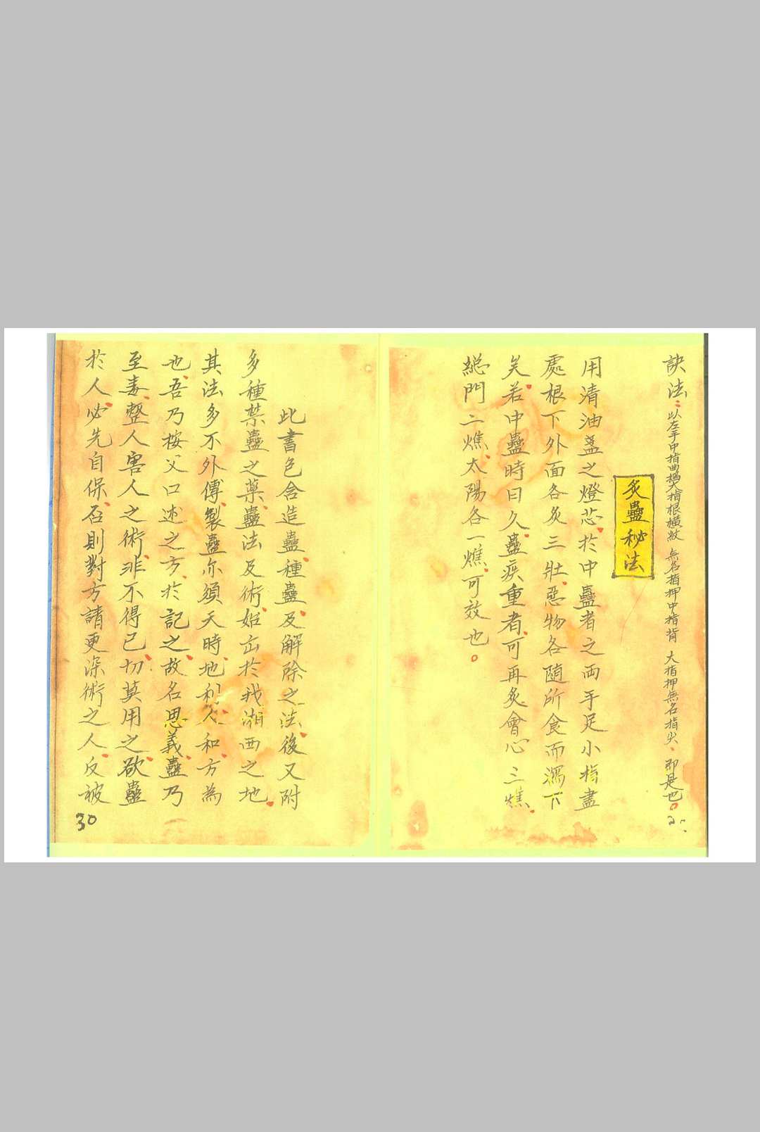 图片[14]-中华古籍网-专注古书收集《湘西蛊术秘本 》-中华古籍网-专注古书收集中华古籍网-专注古书收集