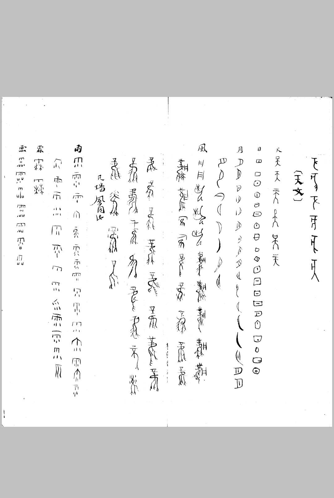 图片[6]中华古籍网-专注古书收集甲骨文字类纂初稿 不分卷中华古籍网-专注古书收集中华古籍网