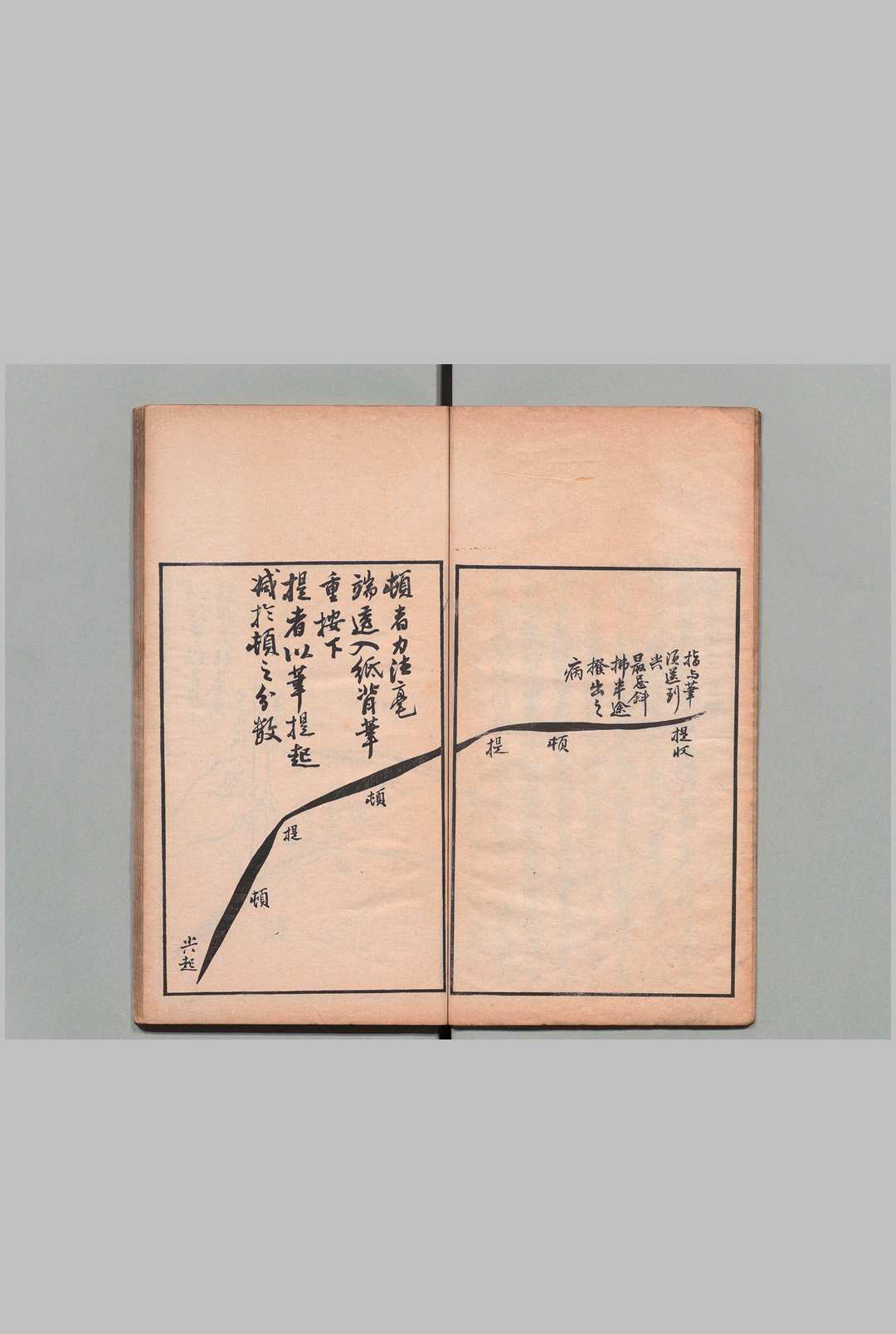 图片[3]中华古籍网-专注古书收集兰谱 １卷 竹谱１卷 王寅（清）加岛信成 刊本 ,明治15年中华古籍网-专注古书收集中华古籍网