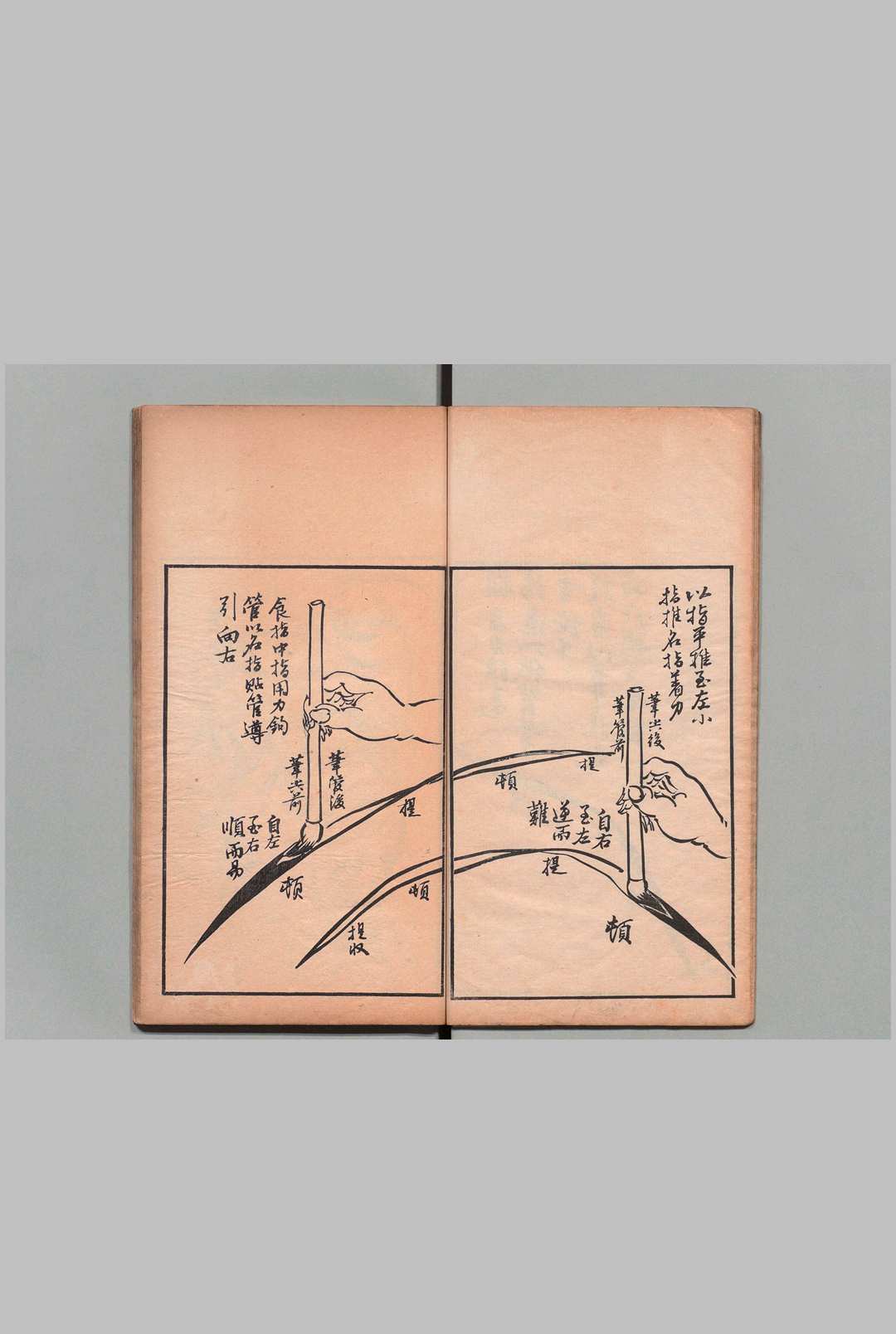 图片[5]中华古籍网-专注古书收集兰谱 １卷 竹谱１卷 王寅（清）加岛信成 刊本 ,明治15年中华古籍网-专注古书收集中华古籍网