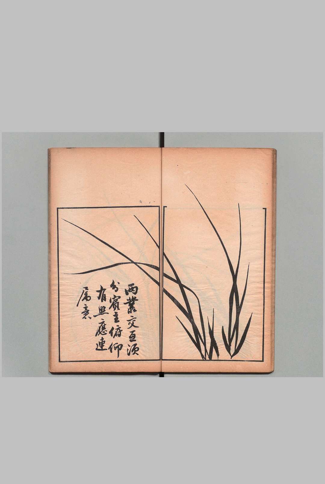 图片[7]中华古籍网-专注古书收集兰谱 １卷 竹谱１卷 王寅（清）加岛信成 刊本 ,明治15年中华古籍网-专注古书收集中华古籍网