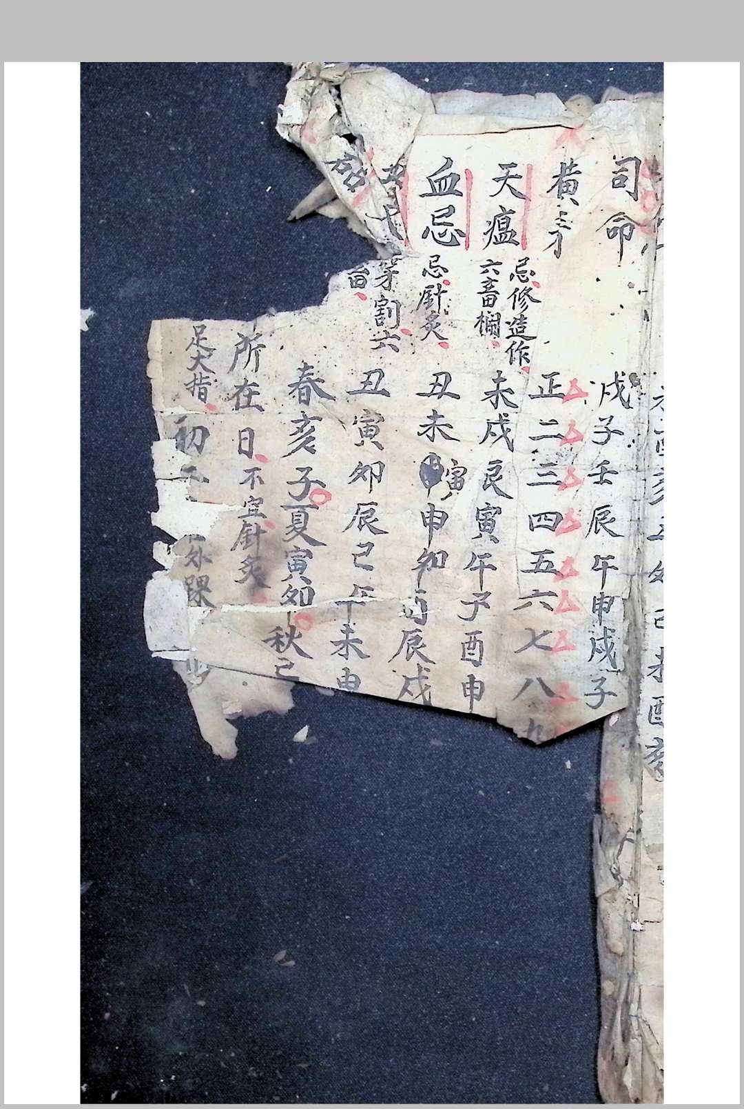 图片[21]中华古籍网-专注古书收集选择吉凶日时古通书全部 1932年抄中华古籍网-专注古书收集中华古籍网