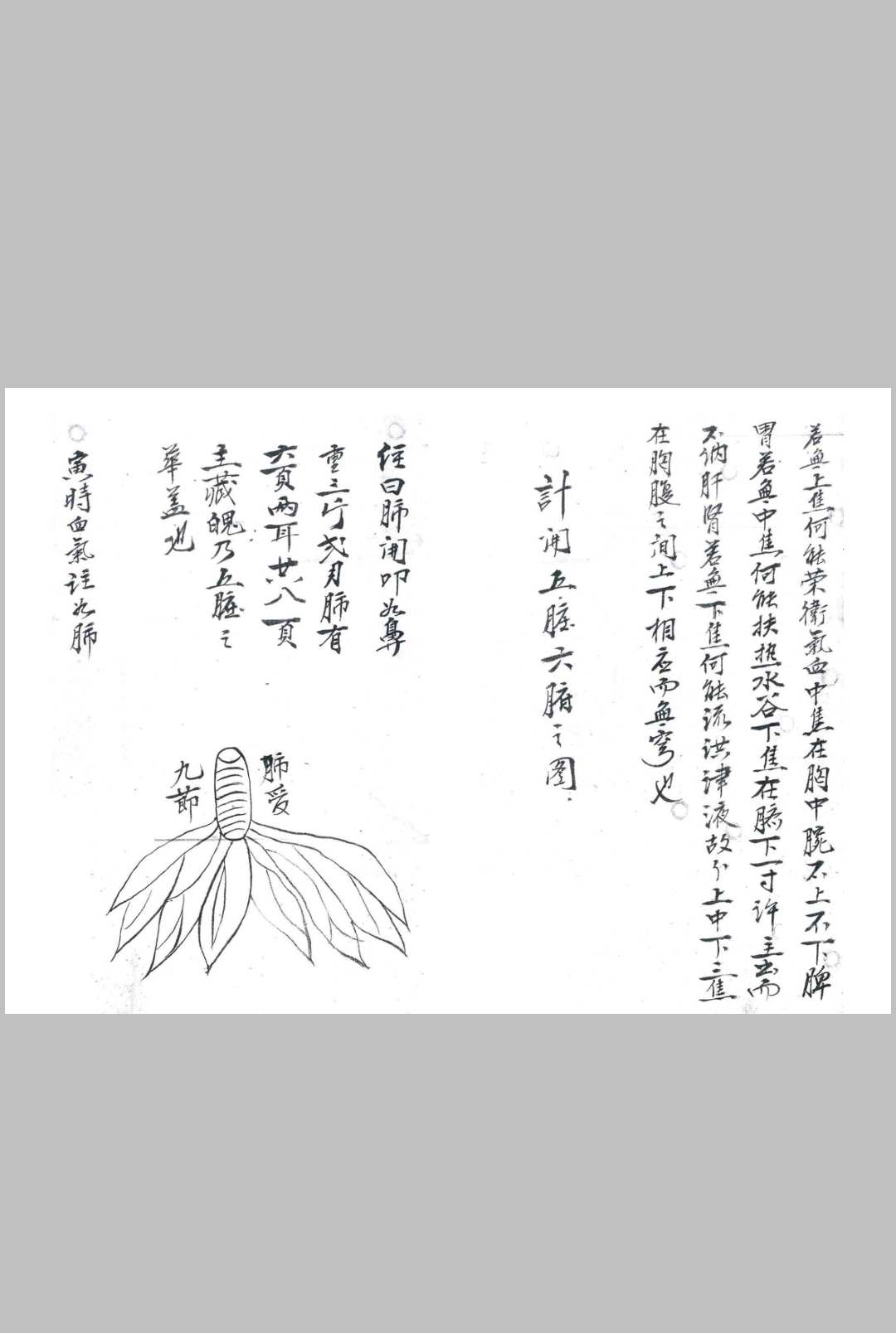 图片[9]中华古籍网-专注古书收集接骨诀法-84页中华古籍网-专注古书收集中华古籍网