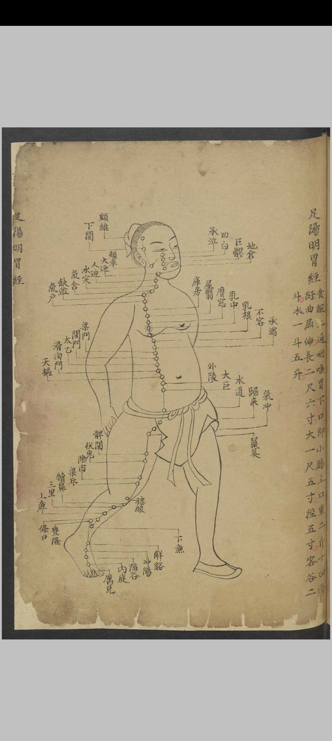 图片[4]中华古籍网-专注古书收集针灸经络汇抄 , 1900中华古籍网-专注古书收集中华古籍网
