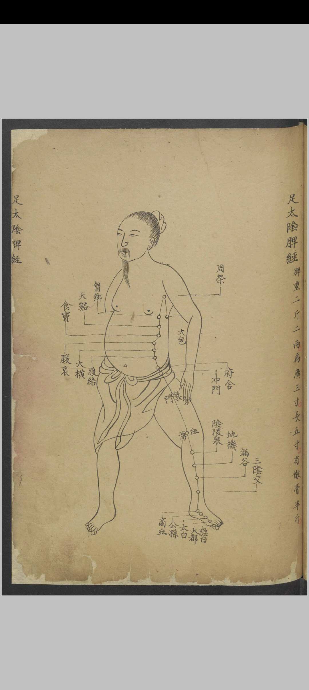 图片[9]中华古籍网-专注古书收集针灸经络汇抄 , 1900中华古籍网-专注古书收集中华古籍网