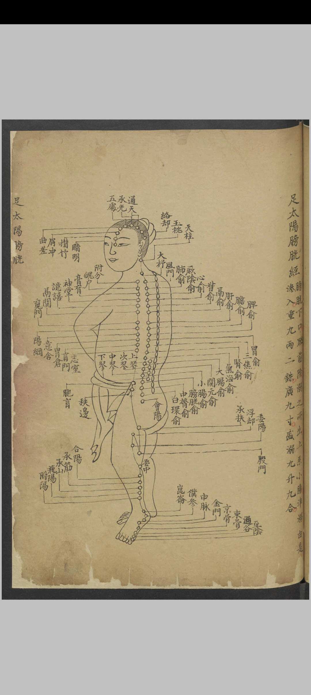 图片[11]中华古籍网-专注古书收集针灸经络汇抄 , 1900中华古籍网-专注古书收集中华古籍网