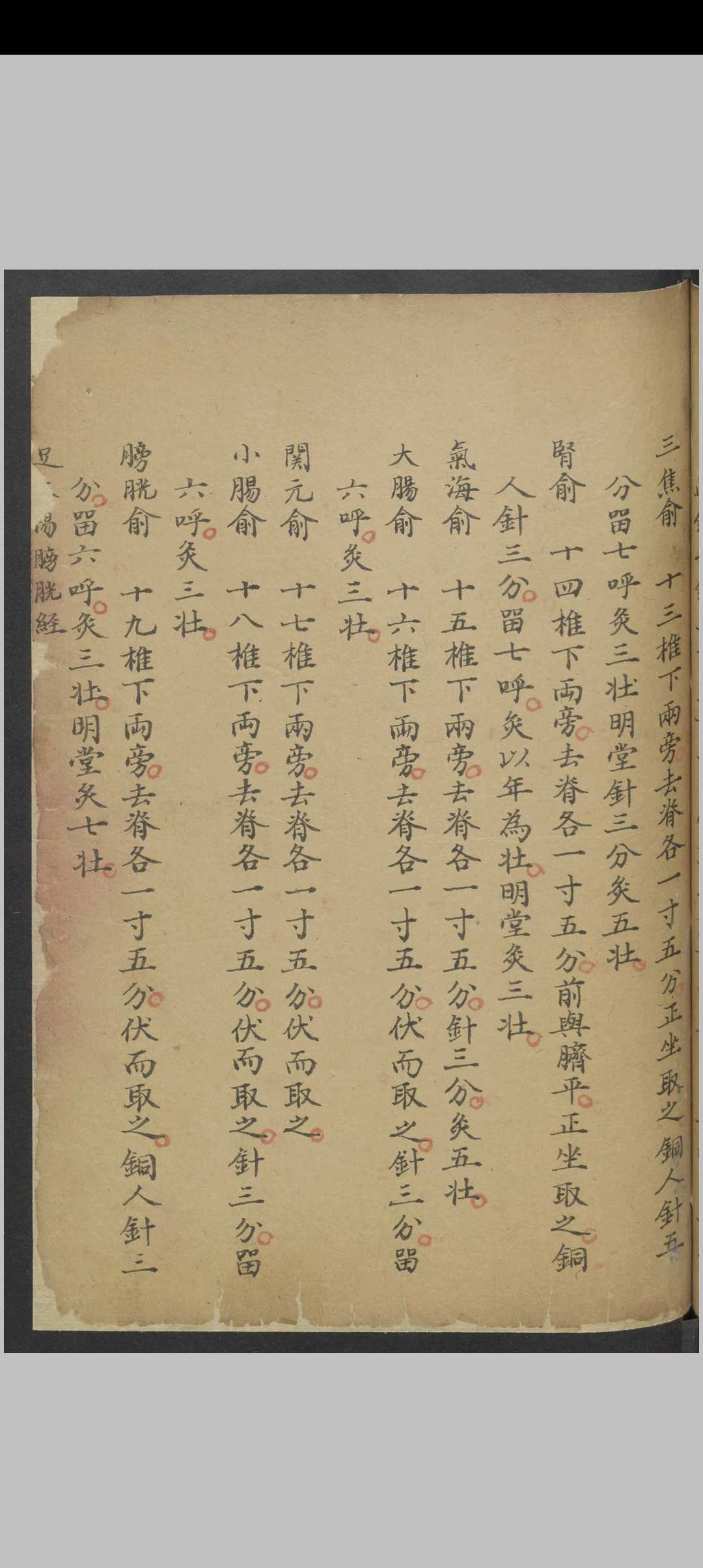 图片[12]中华古籍网-专注古书收集针灸经络汇抄 , 1900中华古籍网-专注古书收集中华古籍网