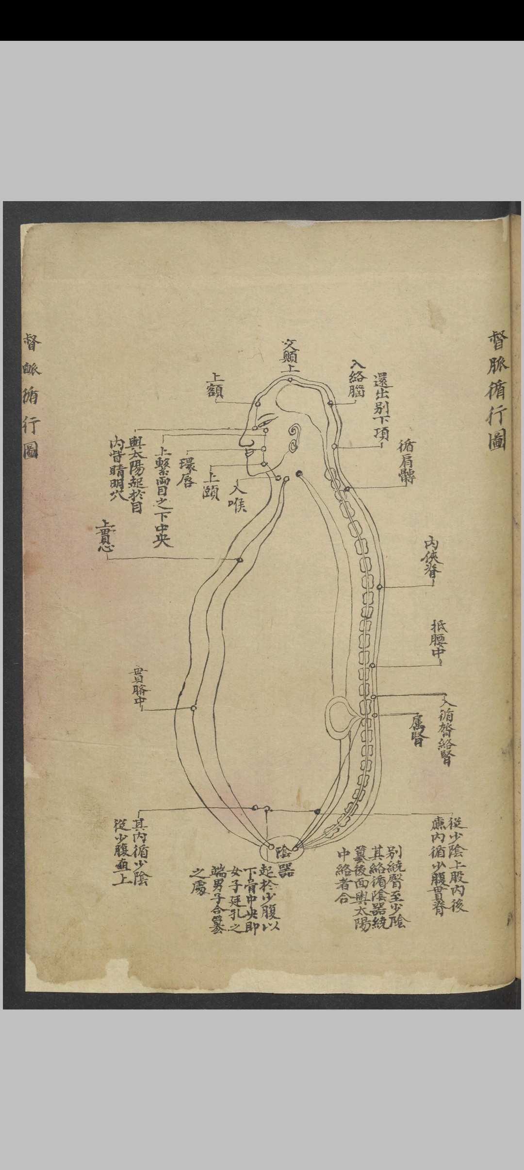 图片[18]中华古籍网-专注古书收集针灸经络汇抄 , 1900中华古籍网-专注古书收集中华古籍网
