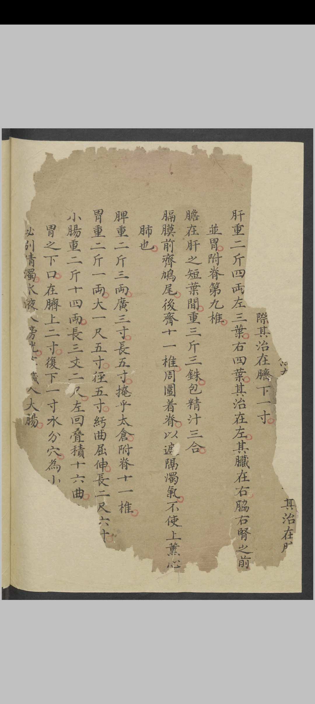 图片[30]中华古籍网-专注古书收集针灸经络汇抄 , 1900中华古籍网-专注古书收集中华古籍网