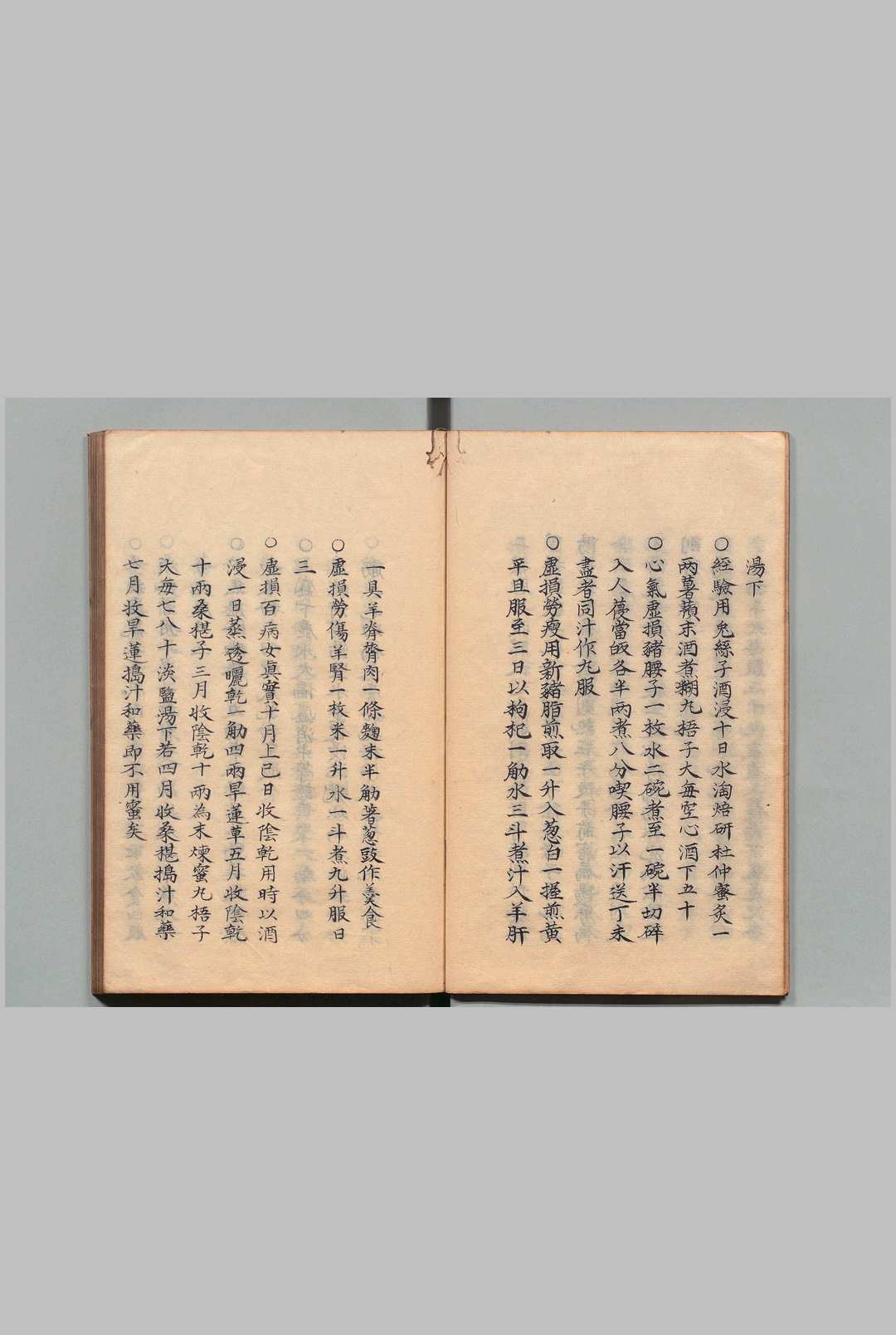 图片[10]中华古籍网-专注古书收集方以类聚 50卷 张勇（清）写本 ,享和3年中华古籍网-专注古书收集中华古籍网