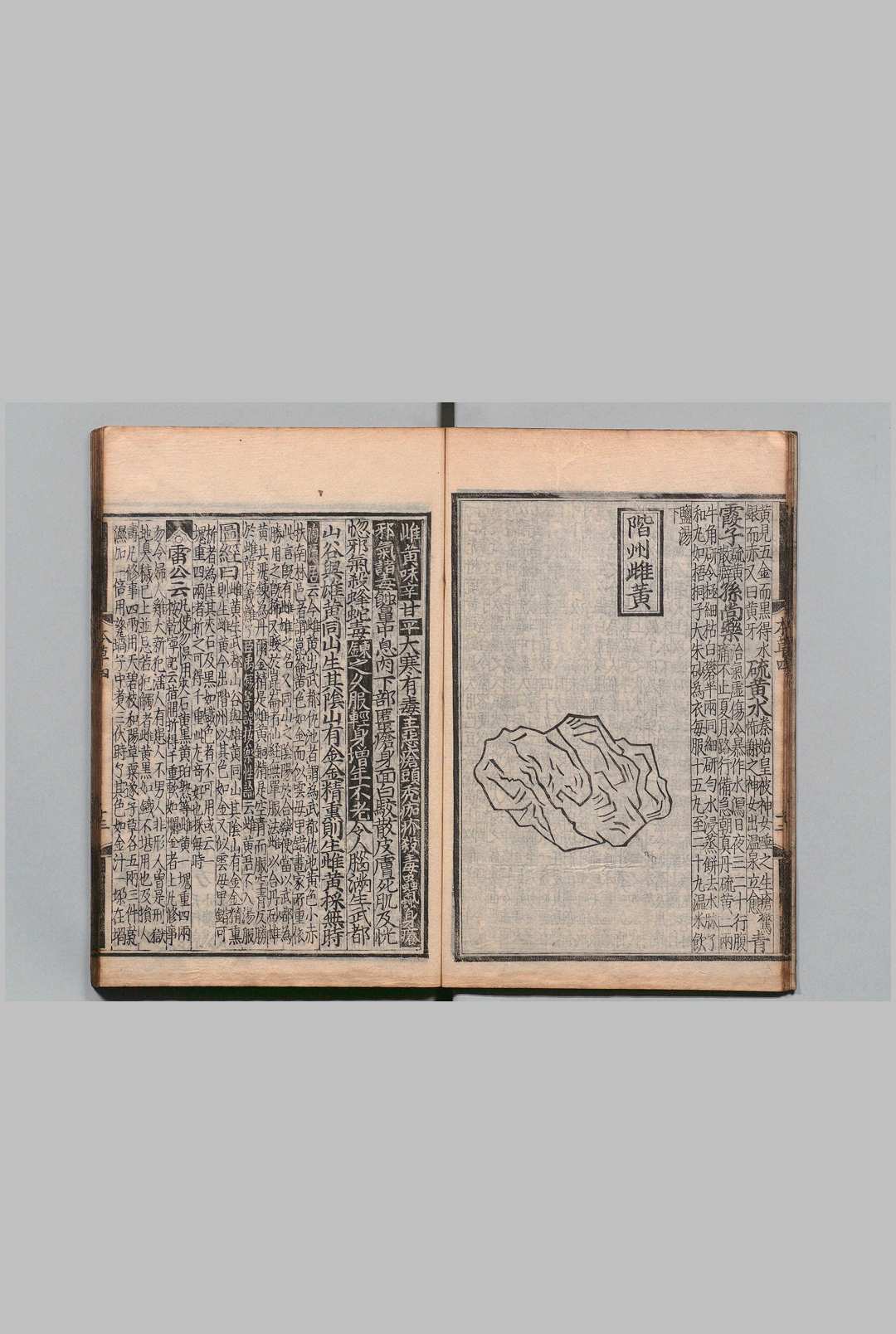 图片[10]中华古籍网-专注古书收集经史证类大观本草 31卷 唐慎微（宋）艾晟（宋）望月三英 刊本 ,安永4年中华古籍网-专注古书收集中华古籍网