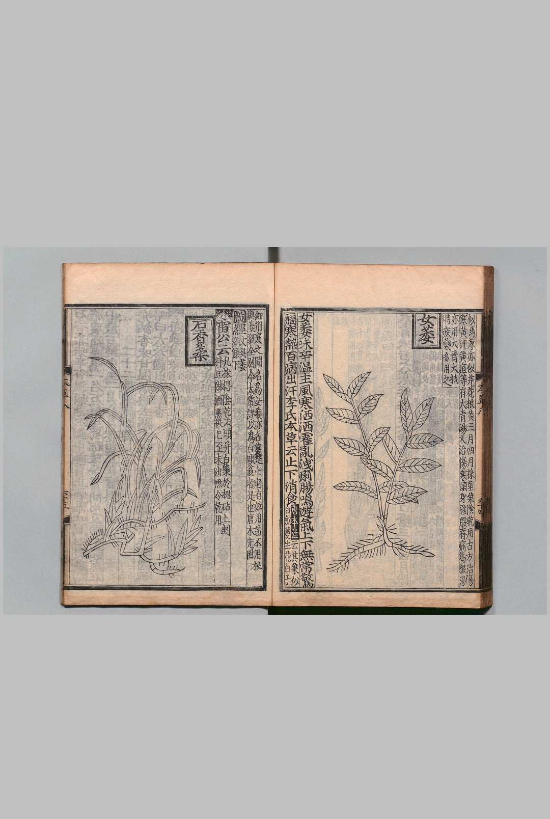 图片[12]中华古籍网-专注古书收集经史证类大观本草 31卷 唐慎微（宋）艾晟（宋）望月三英 刊本 ,安永4年中华古籍网-专注古书收集中华古籍网