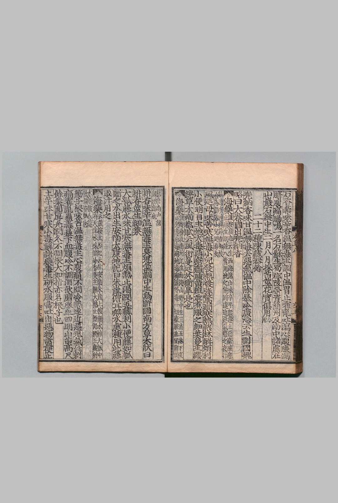 图片[13]中华古籍网-专注古书收集经史证类大观本草 31卷 唐慎微（宋）艾晟（宋）望月三英 刊本 ,安永4年中华古籍网-专注古书收集中华古籍网