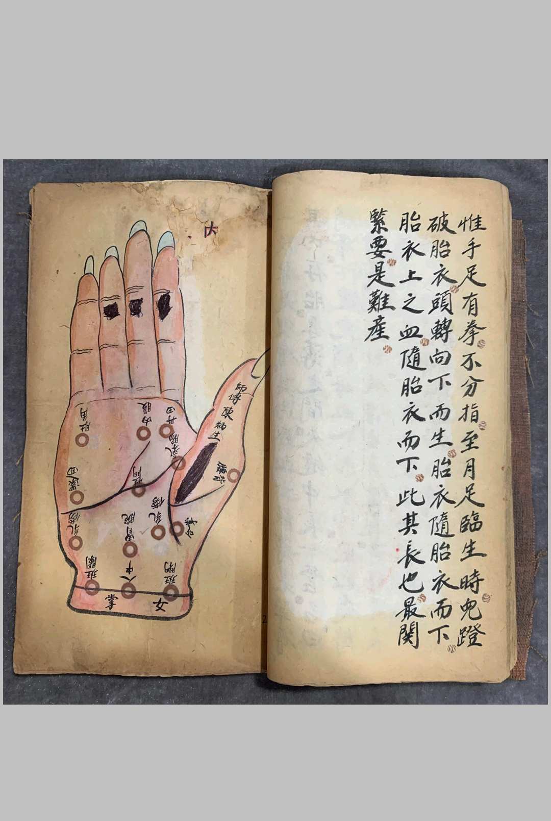 图片[6]中华古籍网-专注古书收集《辨损伤痨病诀》中华古籍网-专注古书收集中华古籍网