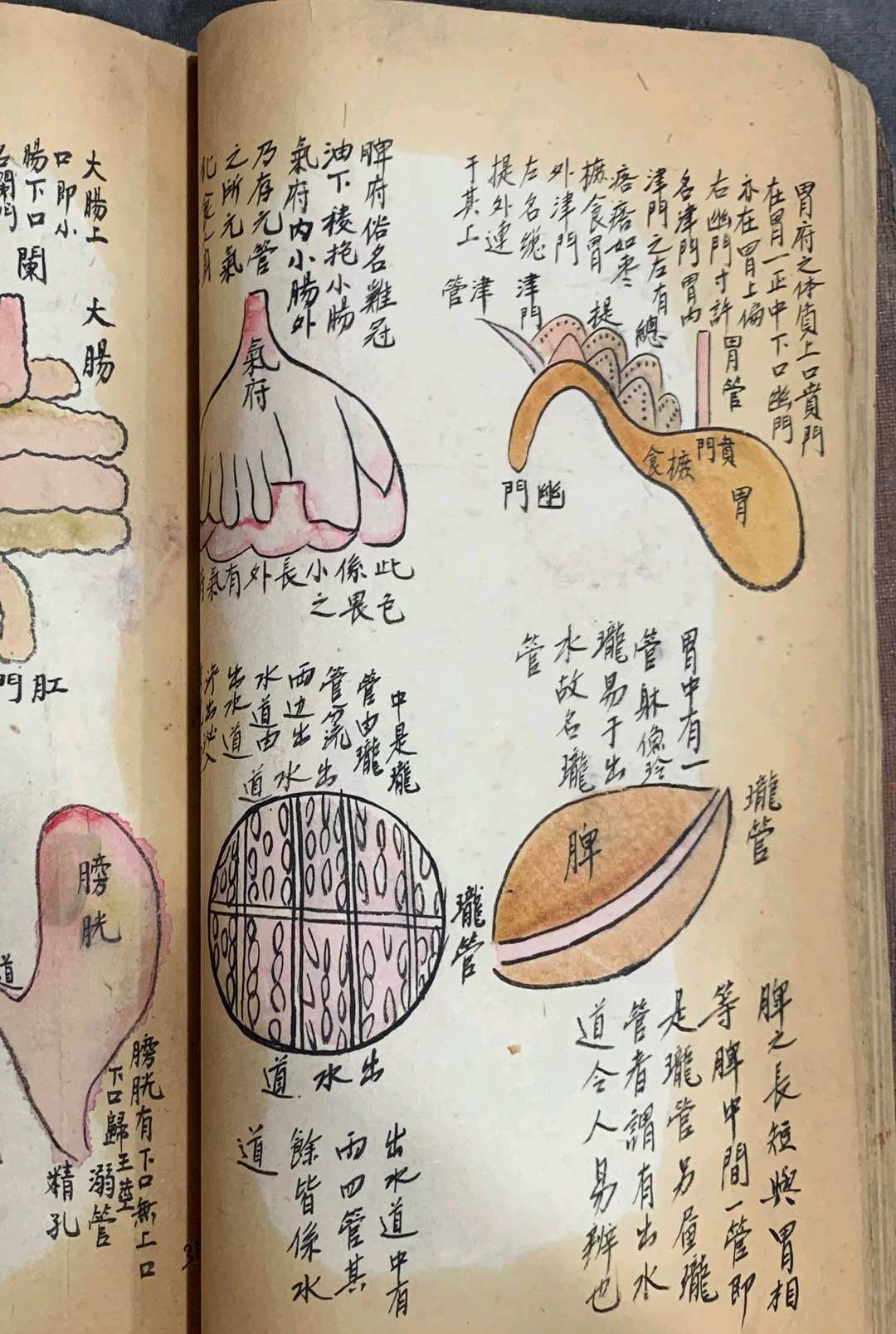 图片[10]中华古籍网-专注古书收集《辨损伤痨病诀》中华古籍网-专注古书收集中华古籍网