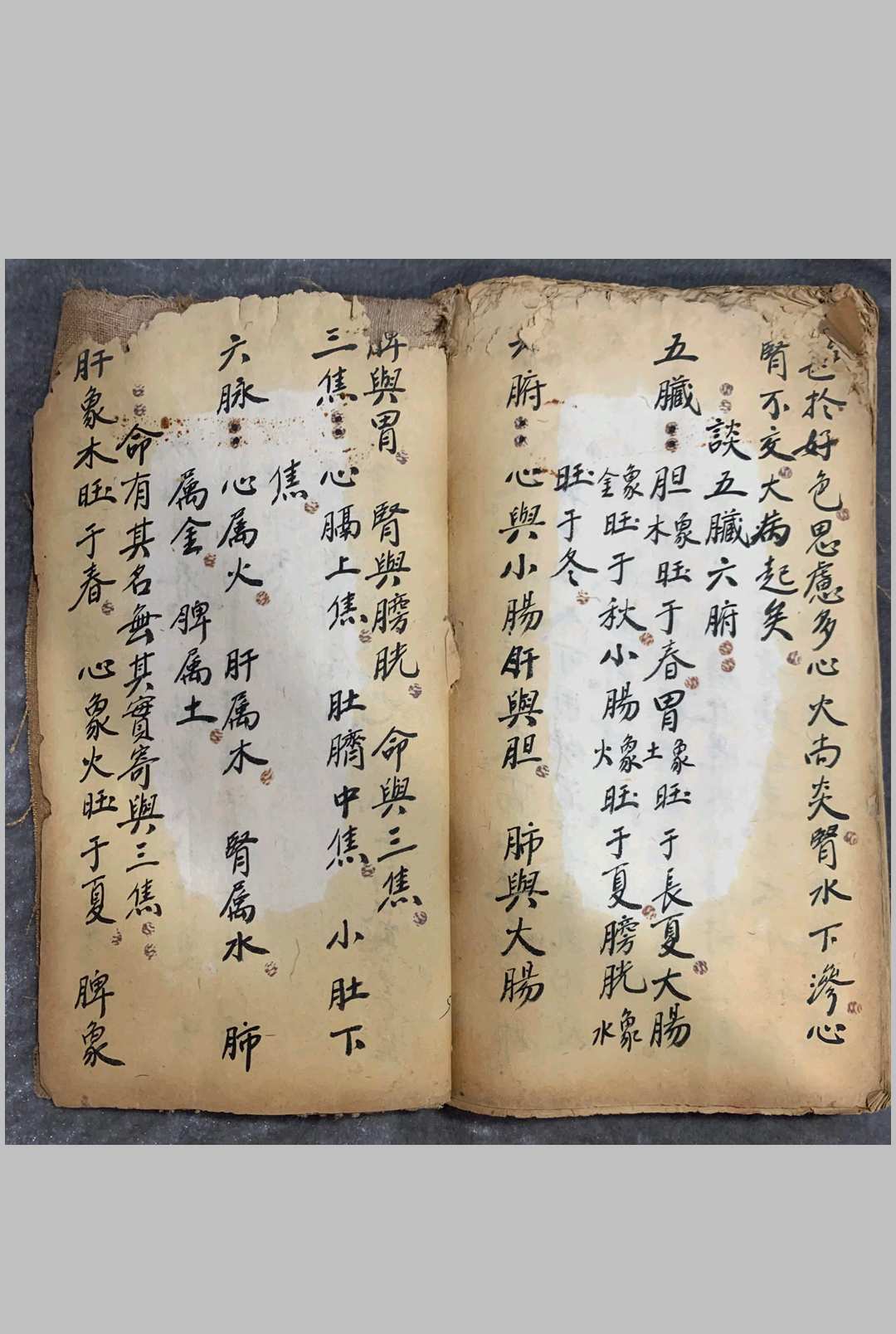 图片[14]中华古籍网-专注古书收集《辨损伤痨病诀》中华古籍网-专注古书收集中华古籍网