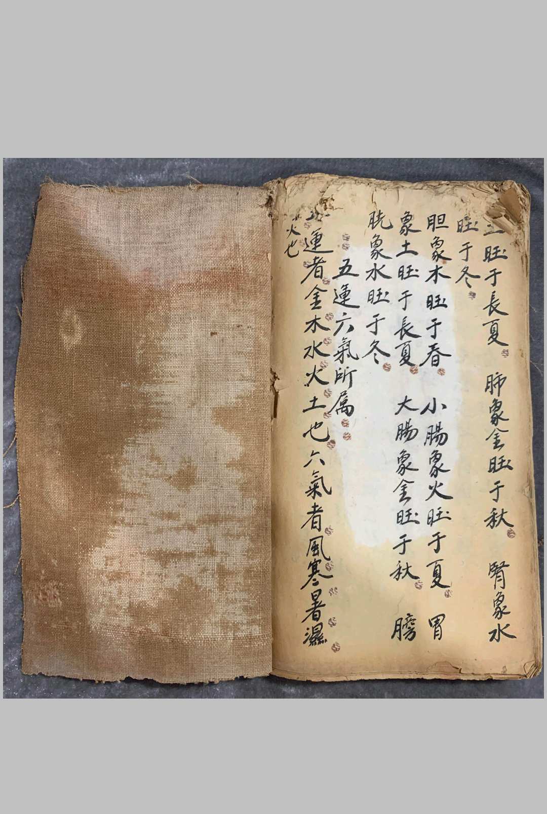 图片[15]中华古籍网-专注古书收集《辨损伤痨病诀》中华古籍网-专注古书收集中华古籍网