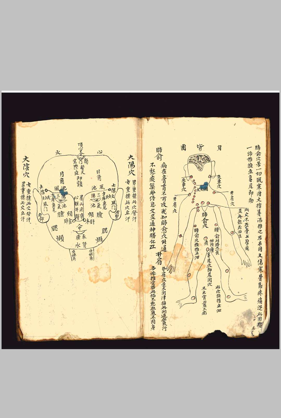 图片[3]中华古籍网-专注古书收集《祖传秘授奇方》上下册中华古籍网-专注古书收集中华古籍网