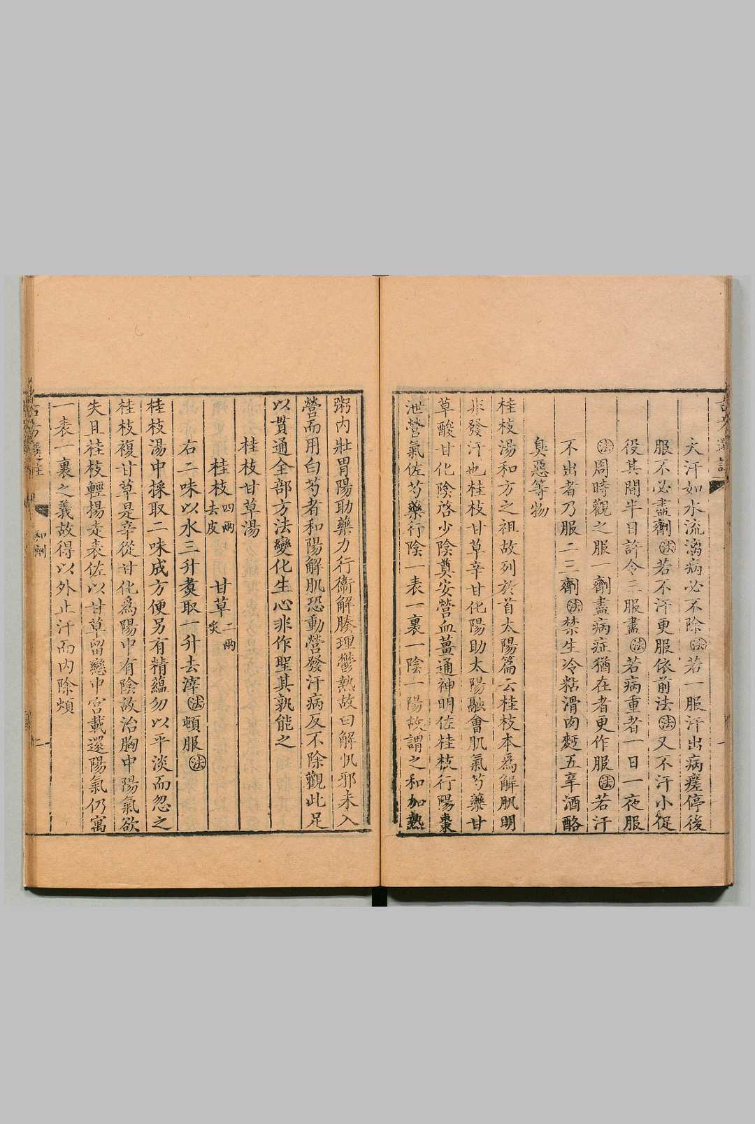 图片[6]中华古籍网-专注古书收集绛雪园古方选注 王子接 ,清雍正间中华古籍网-专注古书收集中华古籍网