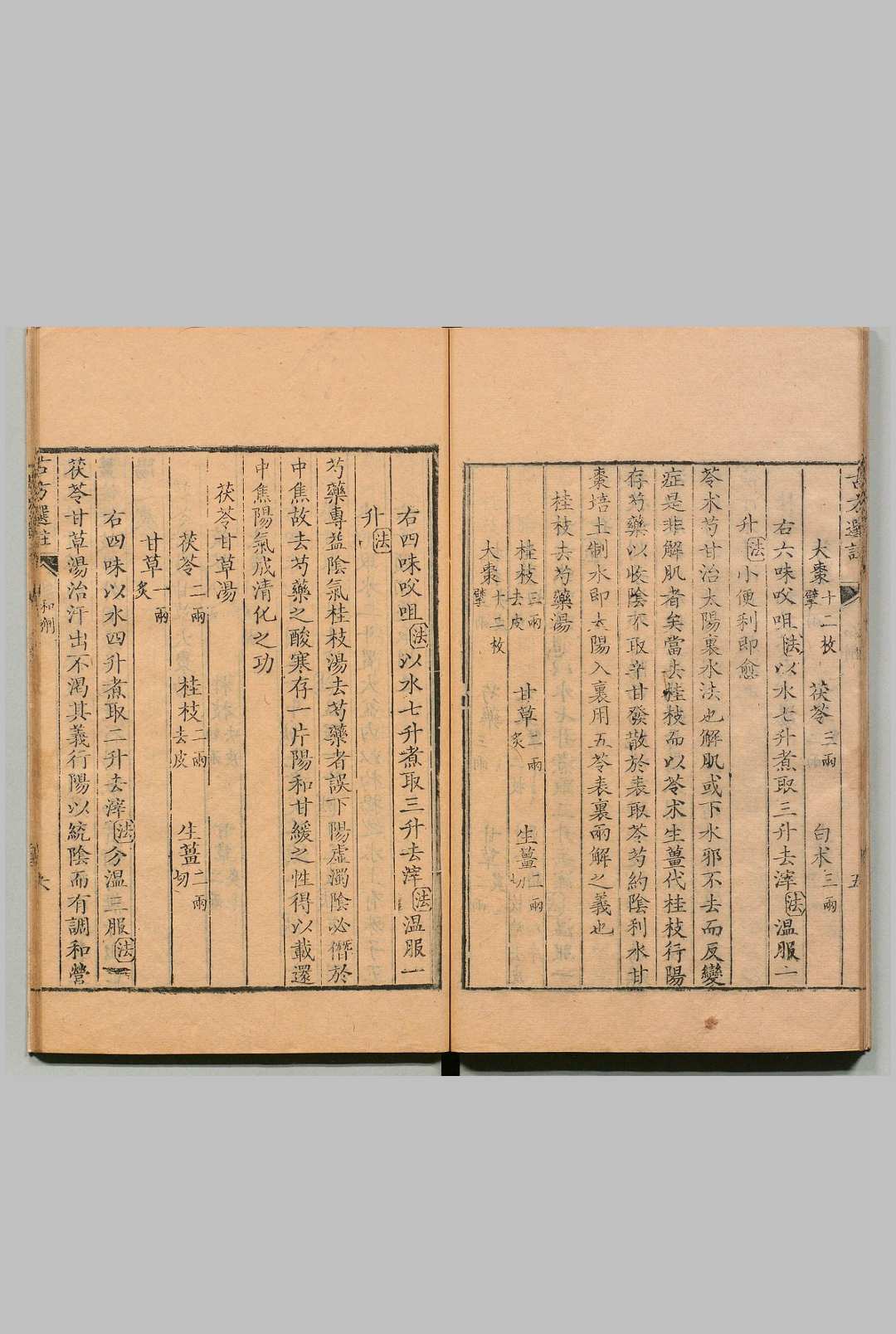 图片[10]中华古籍网-专注古书收集绛雪园古方选注 王子接 ,清雍正间中华古籍网-专注古书收集中华古籍网