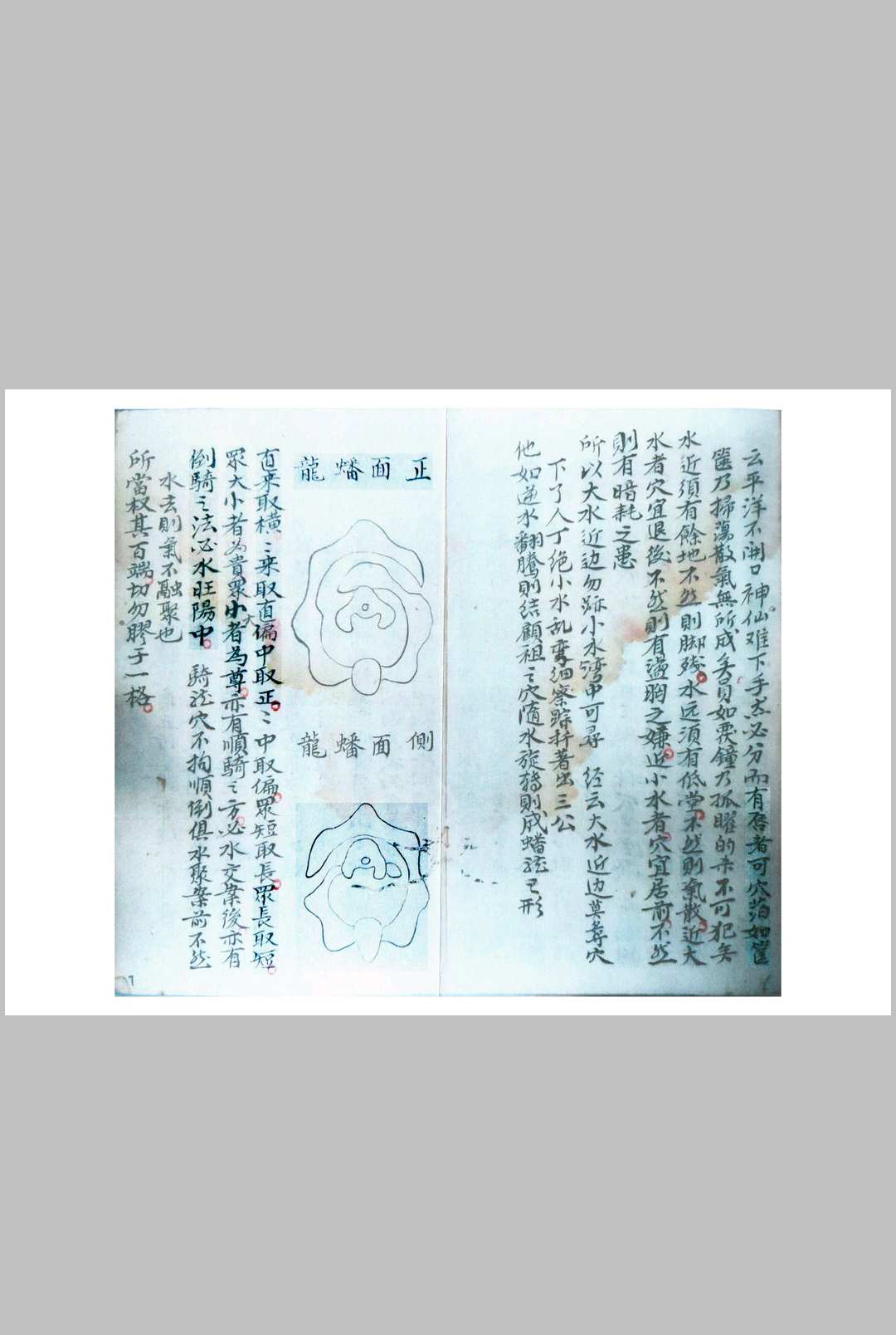图片[4]中华古籍网-专注古书收集杨曾廖赖家传秘诀中华古籍网-专注古书收集中华古籍网