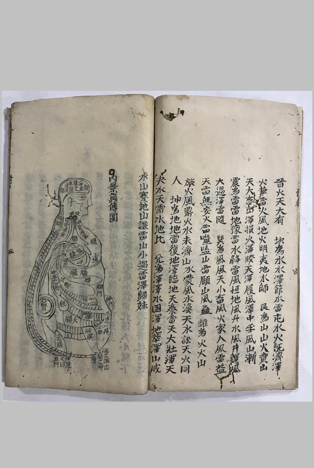 图片[4]中华古籍网-专注古书收集道医根源中华古籍网-专注古书收集中华古籍网